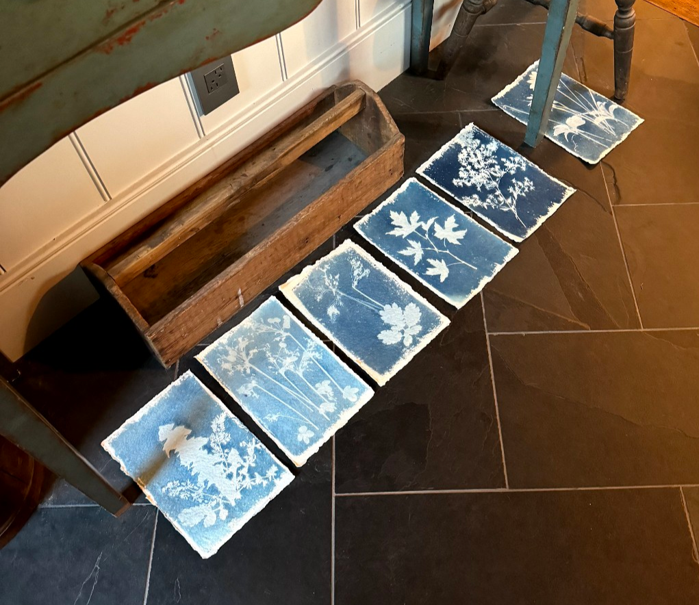 Cyanotype Workshop