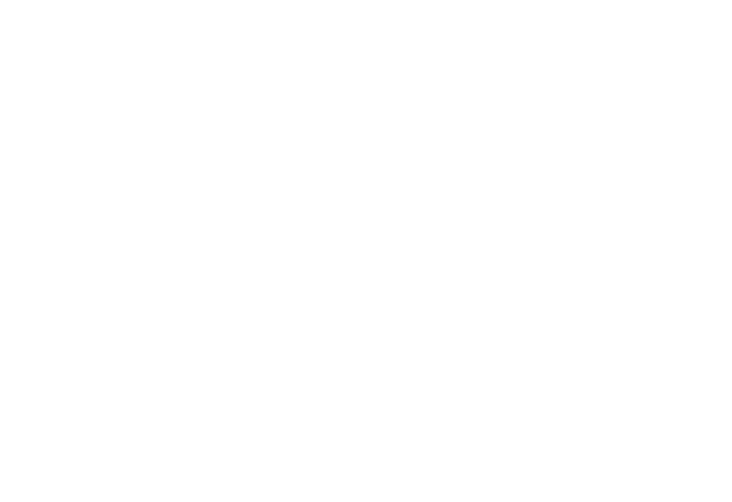 Zhonghua Wushu