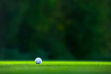 Close-up of a golf ball on a tee on a golf course