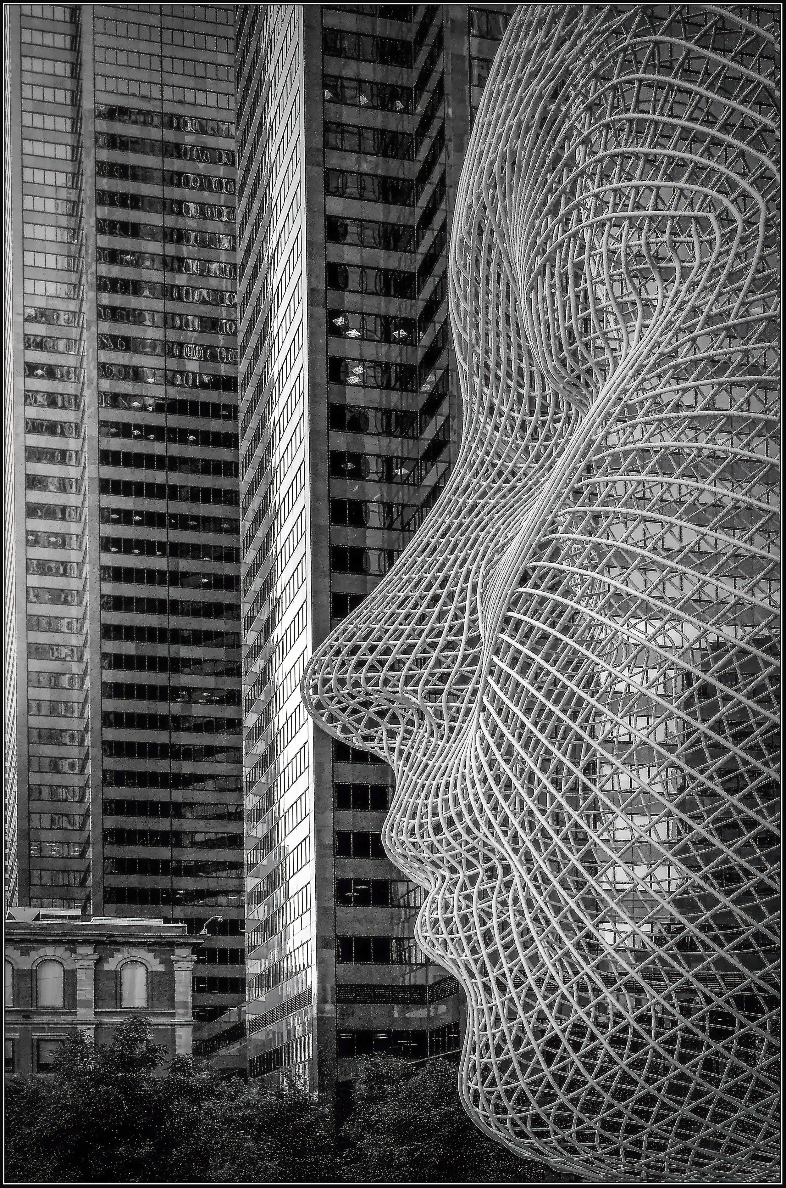 2019. Let's Face It. Honourable Mention. Lines and Curves. Canadian Association for Photographic Art