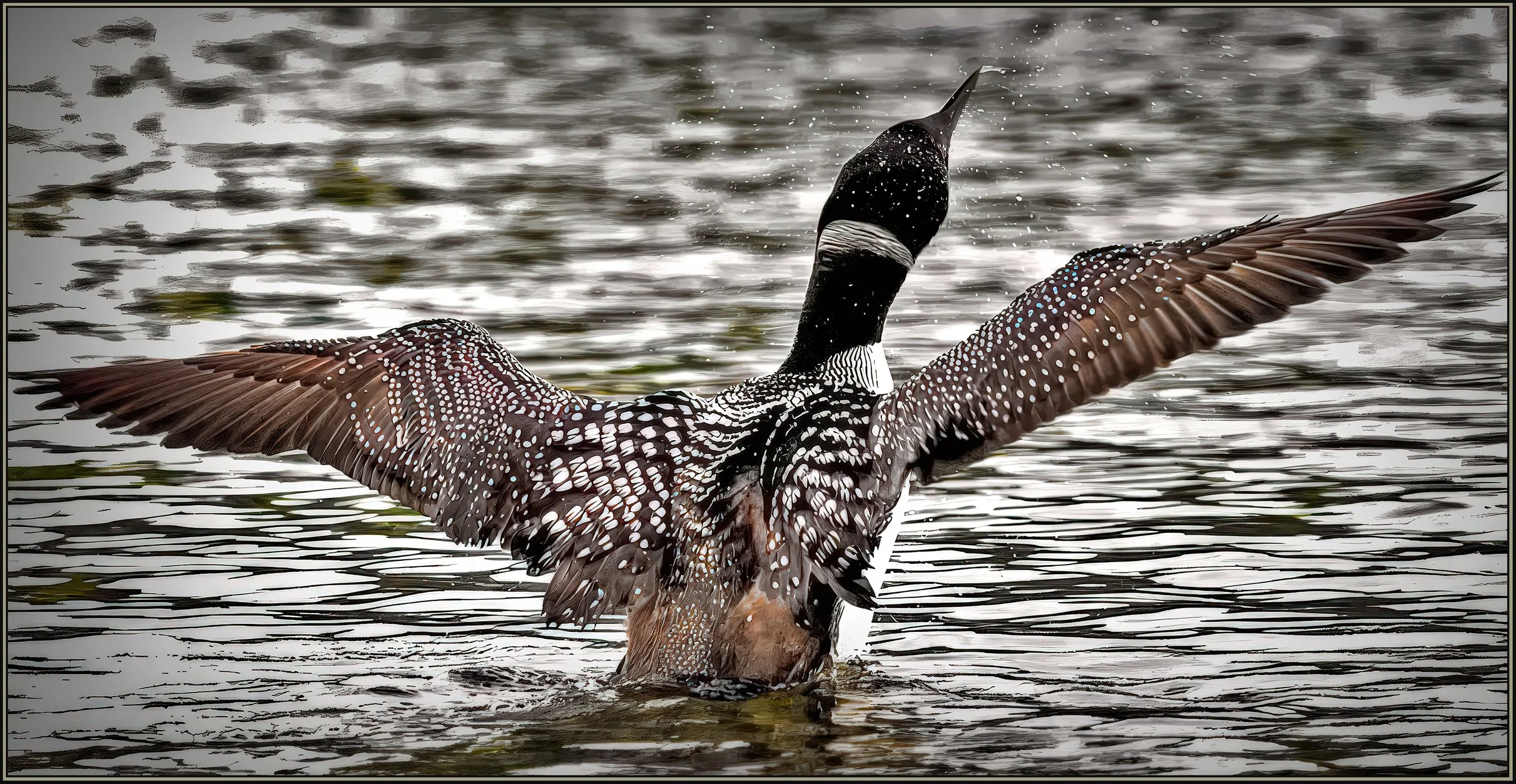 54716881503_dbfdcc4071_o (1) copy.jpg