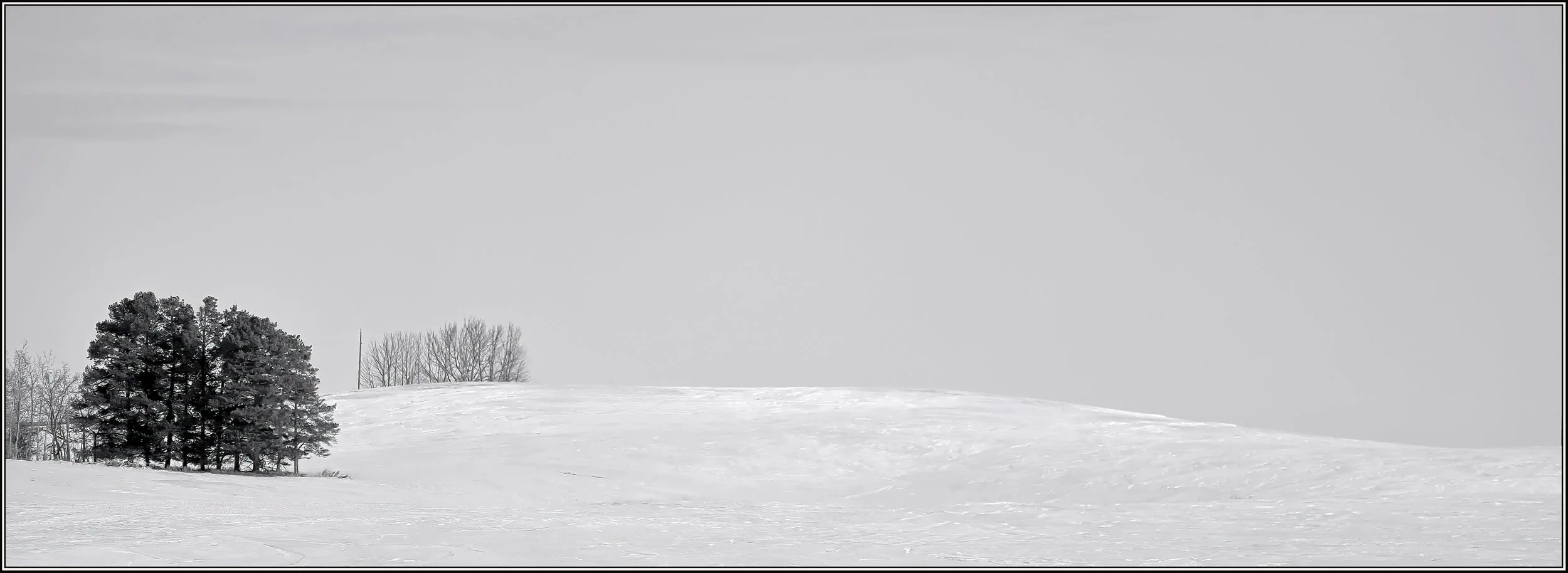 55049474407_b48088a0b2_o copy.jpg