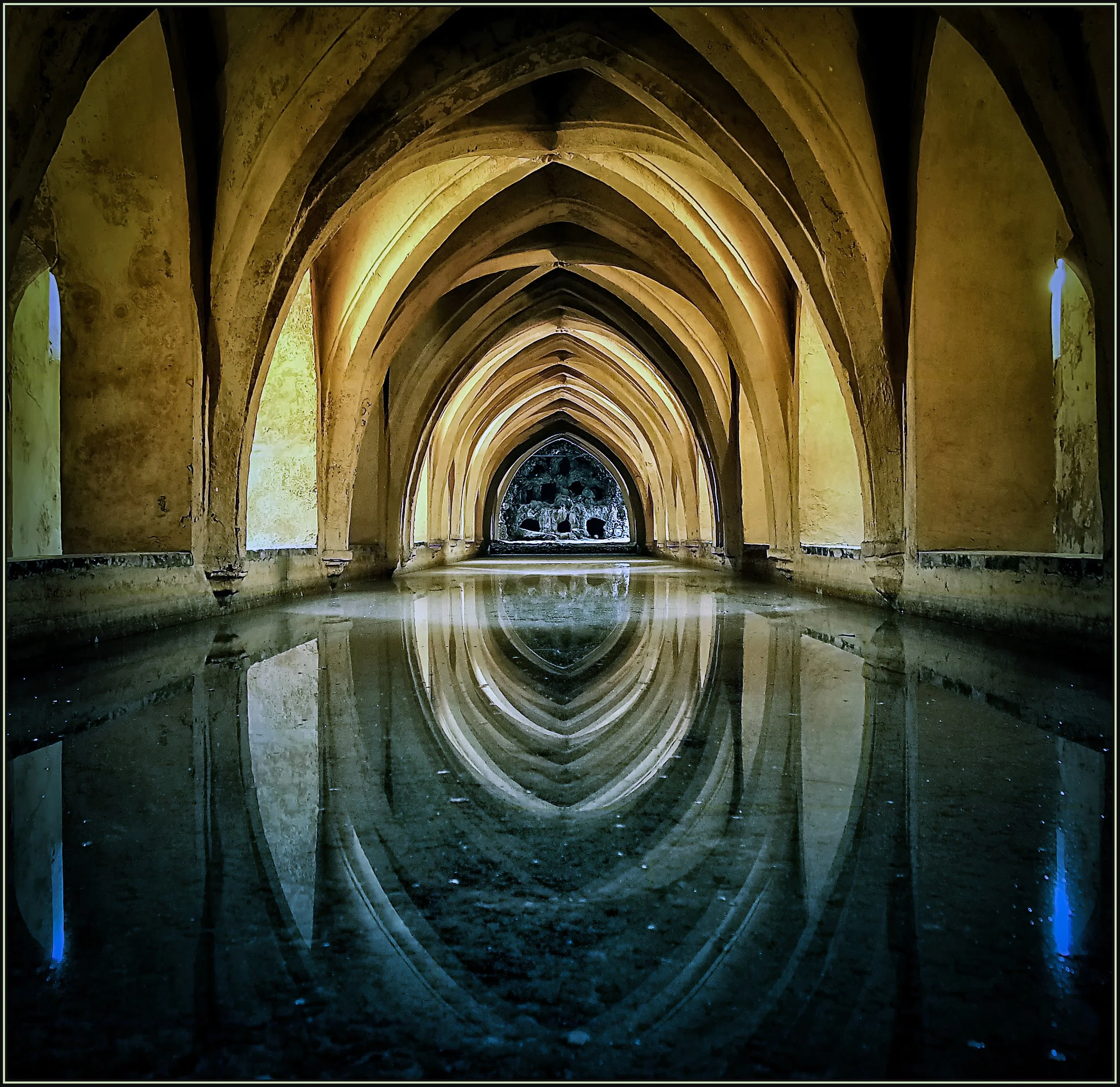 2019. Bull's Eye. Honourable Mention. Lines and Curves. Canadian Association for Photographic Art