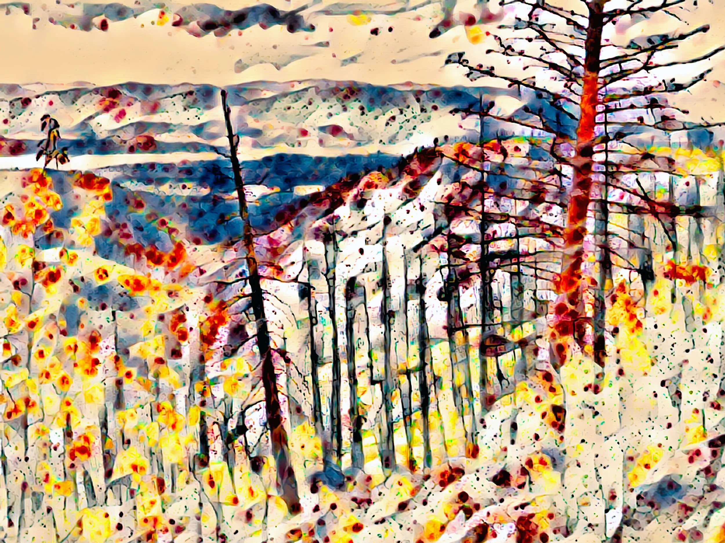 2020. Burnt Out. Honourable Mention. Creative Abstract. Canadian Association for Photographic Art