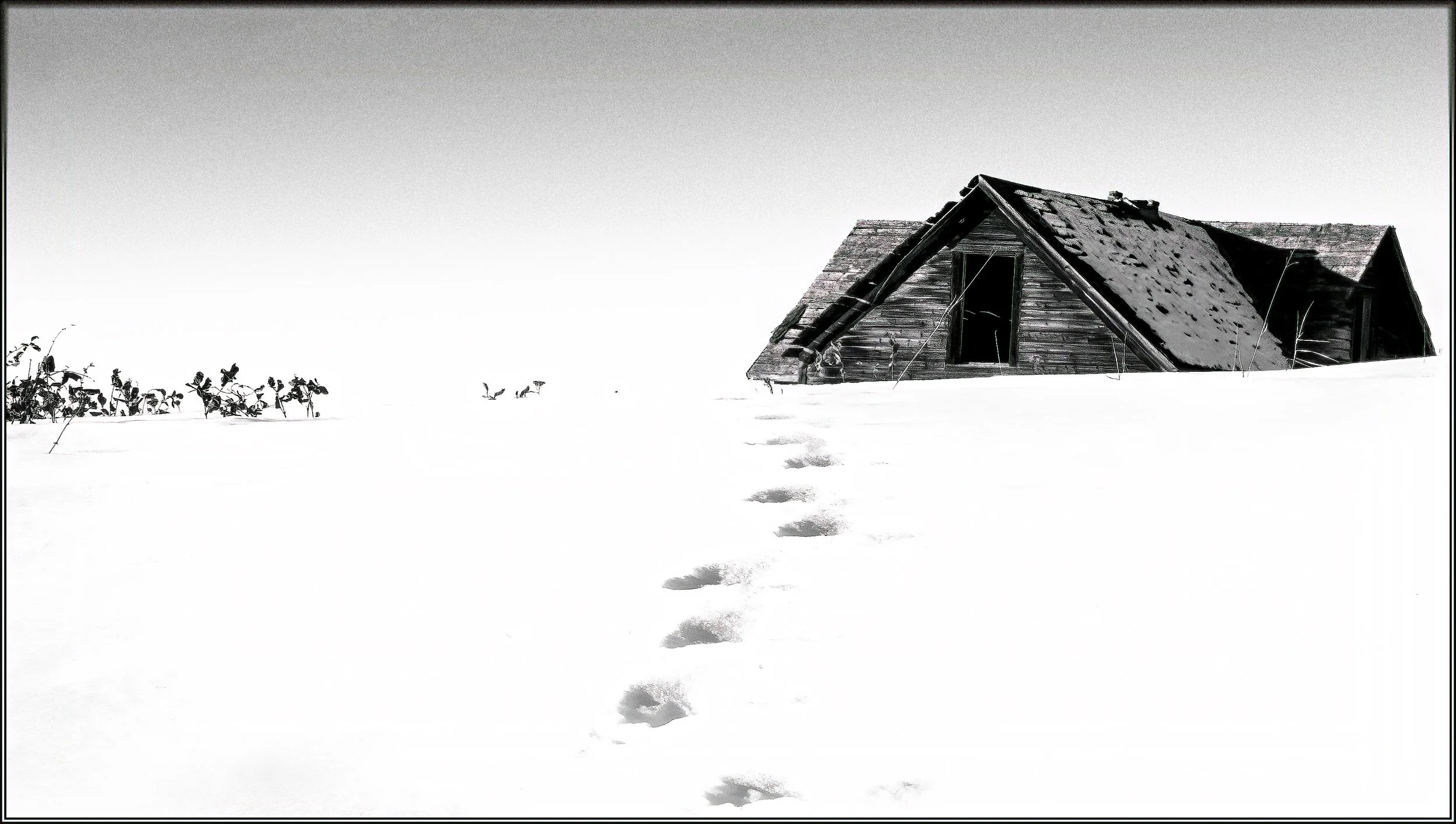 53536033990_b9c1f8b0d2_o-gigapixel-standard v2-4x copy.jpg