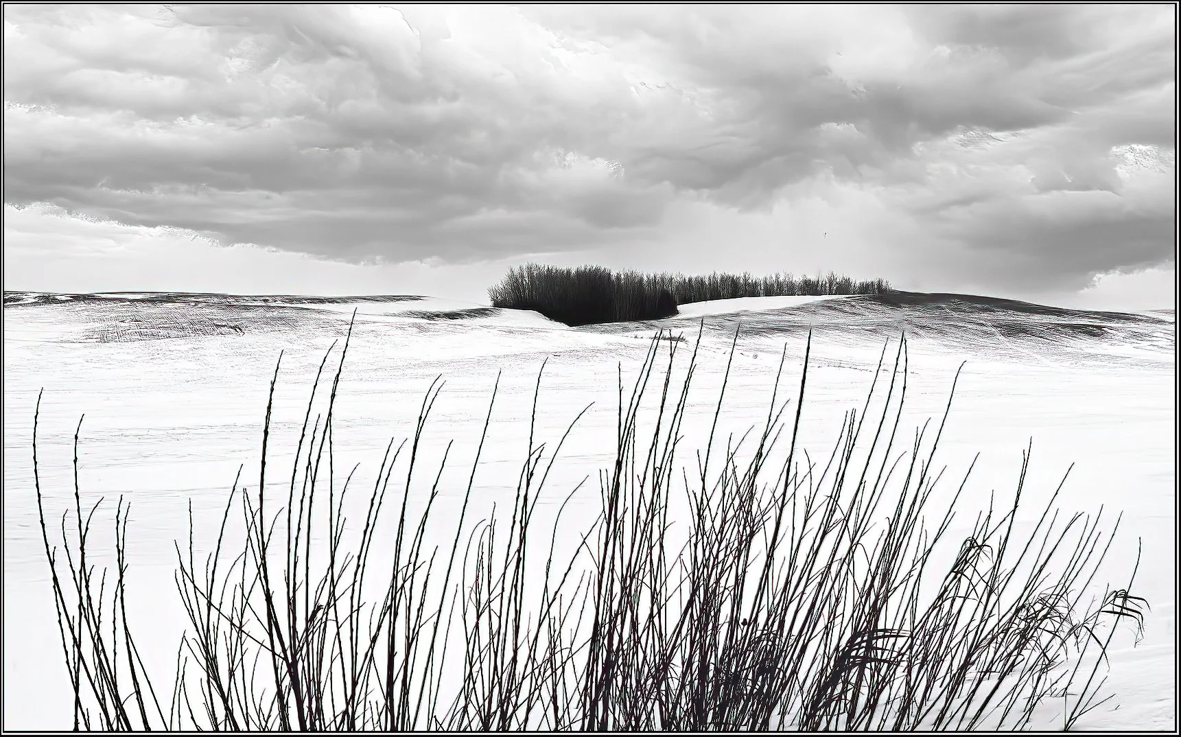winter scene.jpg