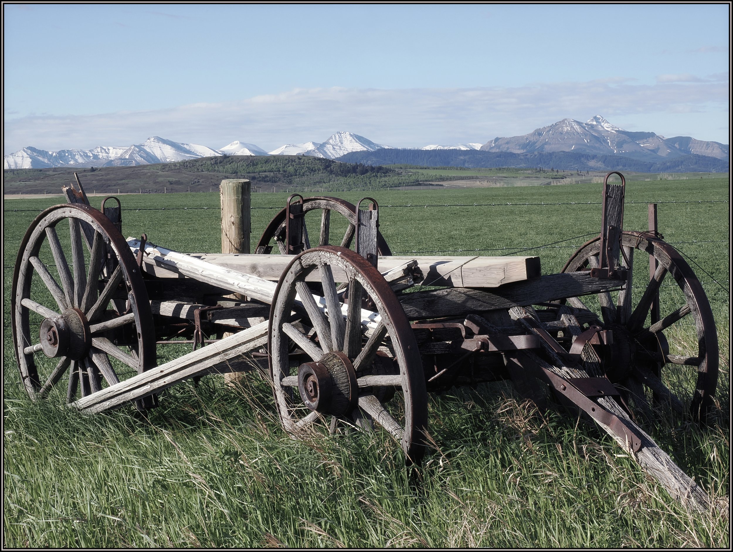 wagon26.jpg