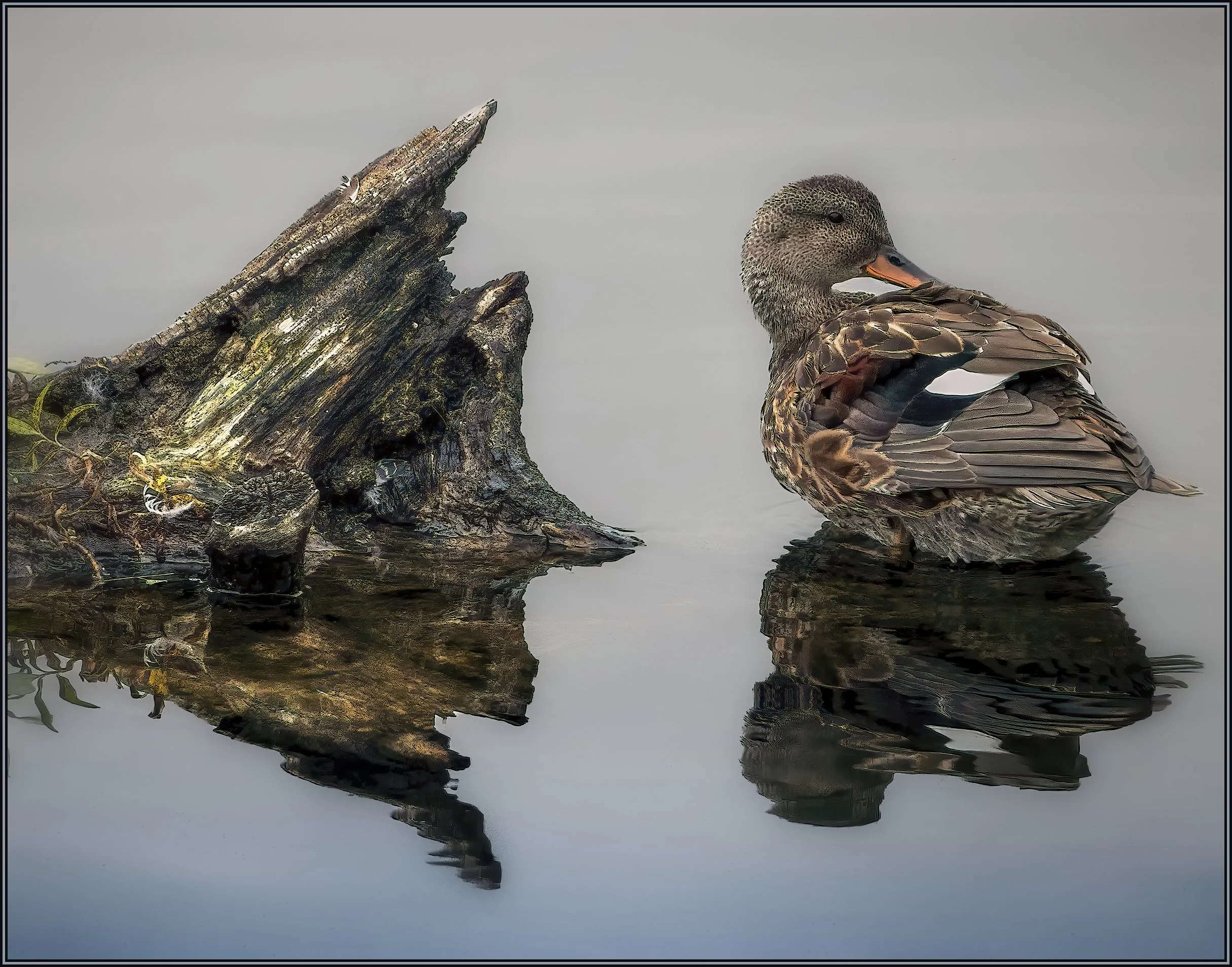 morban-vincent_Cleaning Up copy.jpg