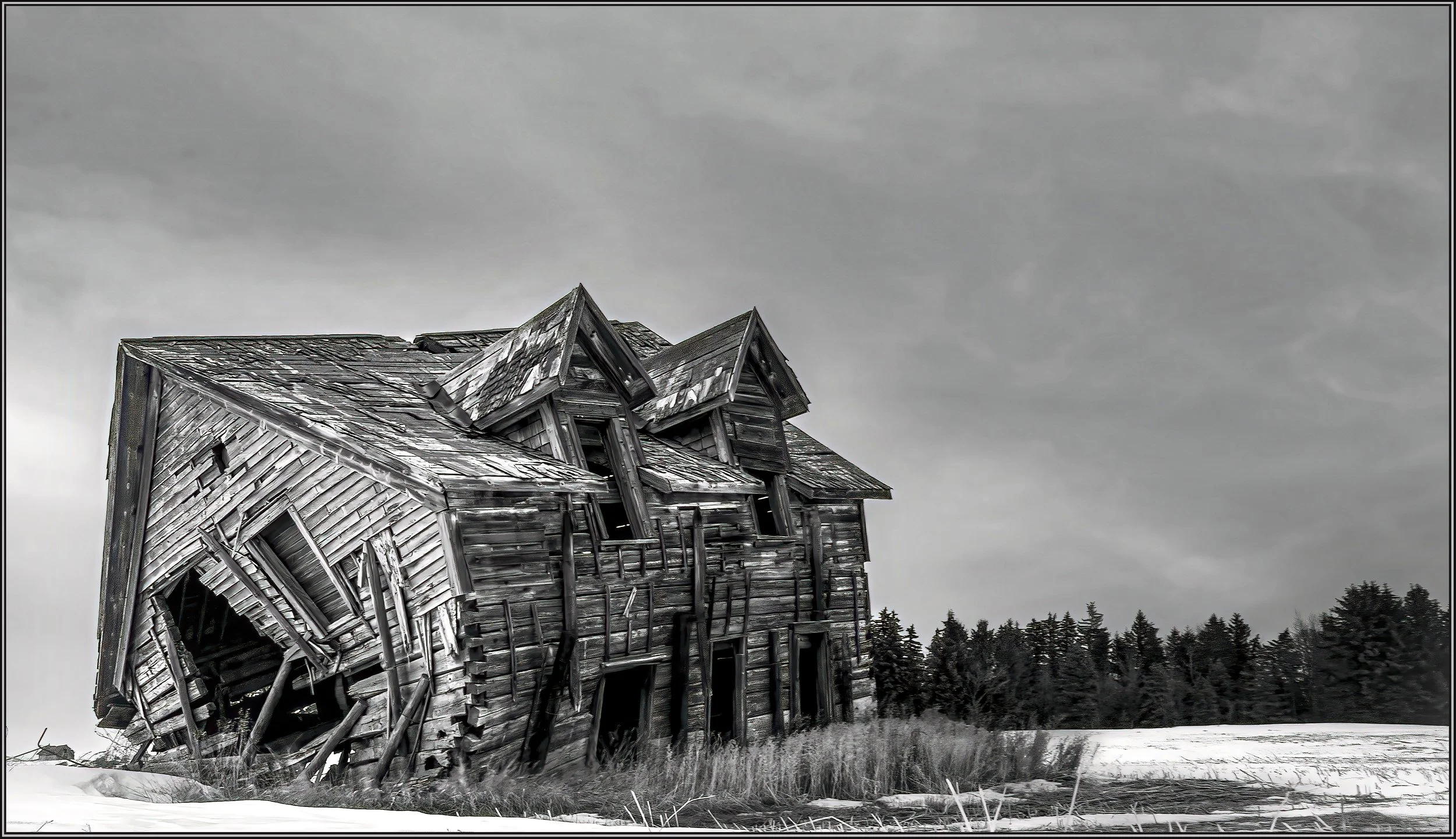 52793707340_7d42629996_o copy.jpg