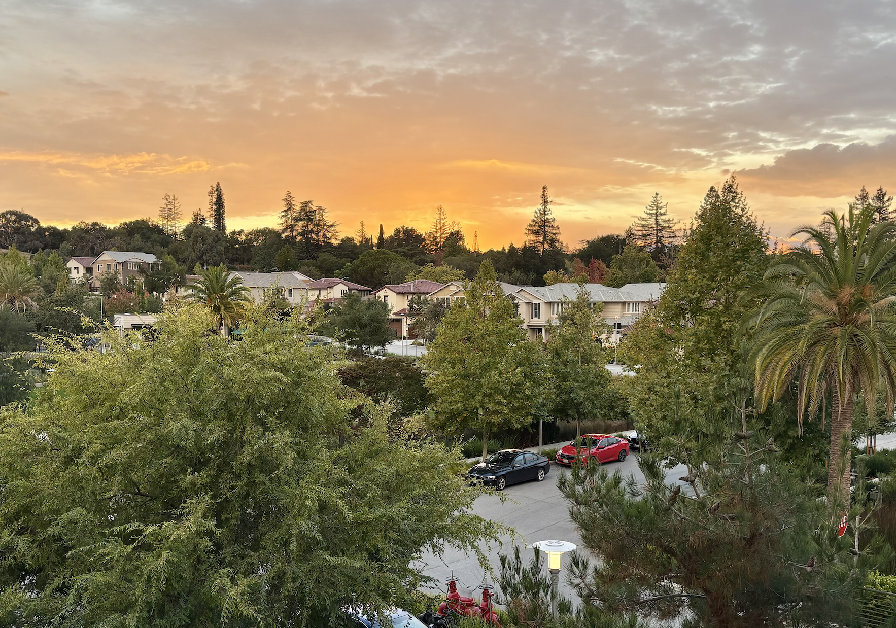 Avocado Toast Math: Renting vs. Owning in an Extraordinarily Expensive Area