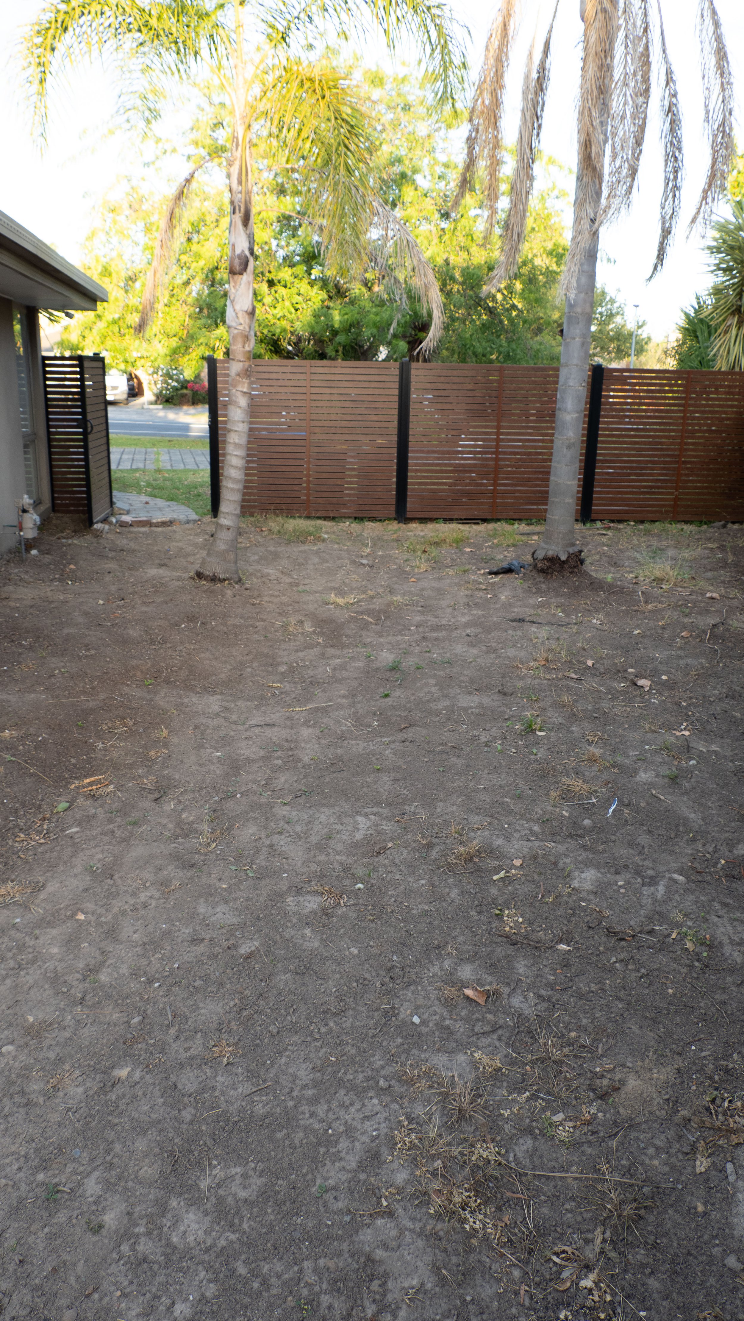 P2223493.jpg