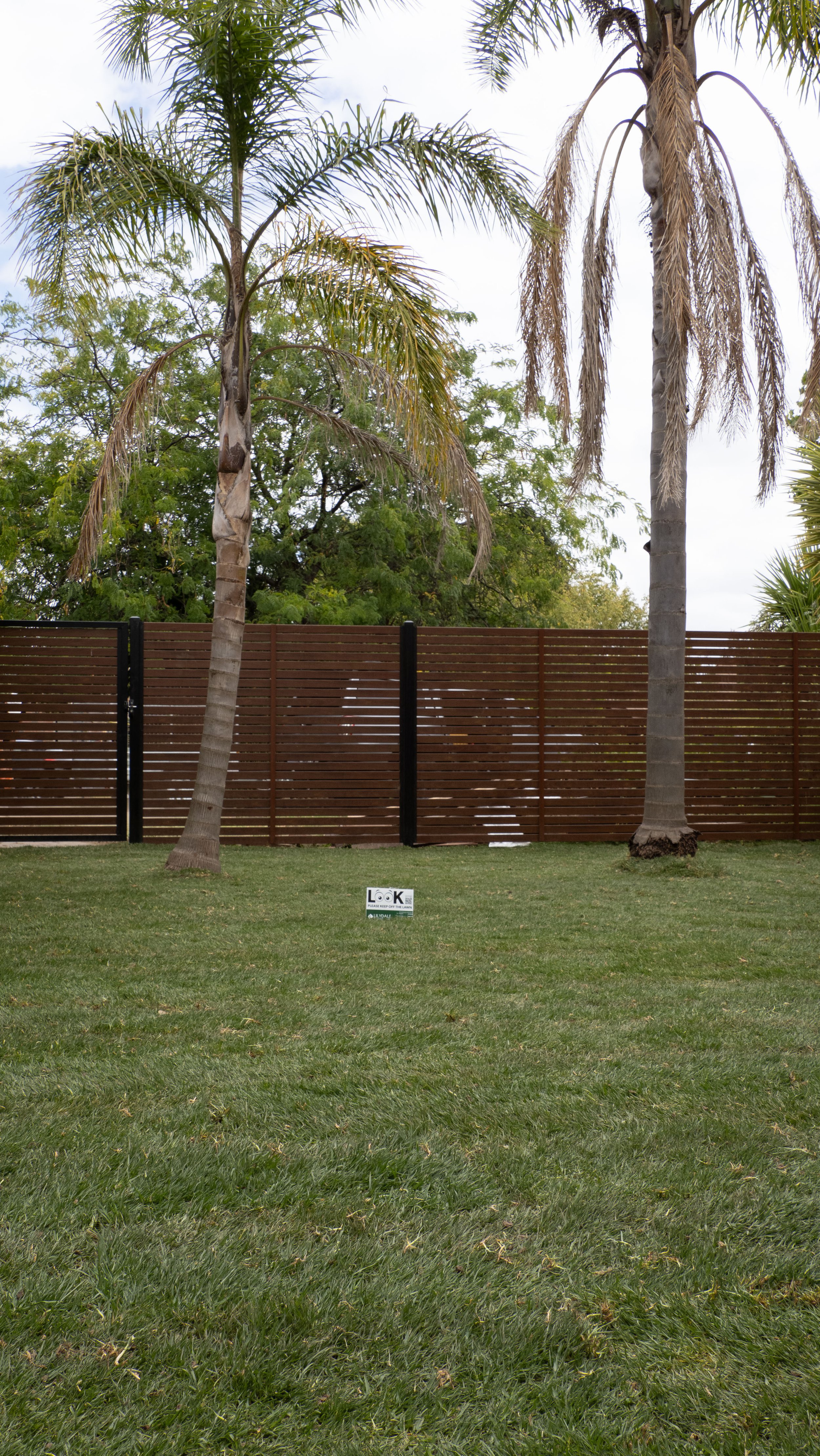 P2233517.jpg