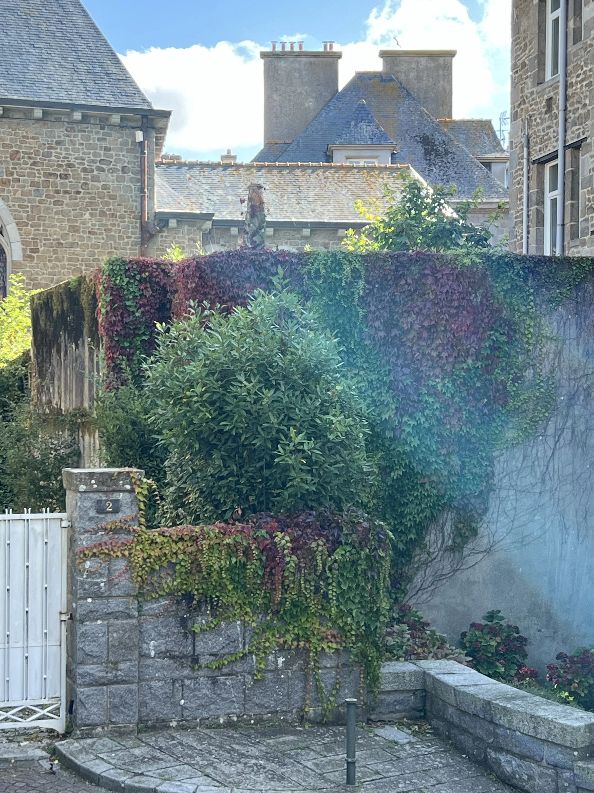 Saint-Malo foilage.jpeg
