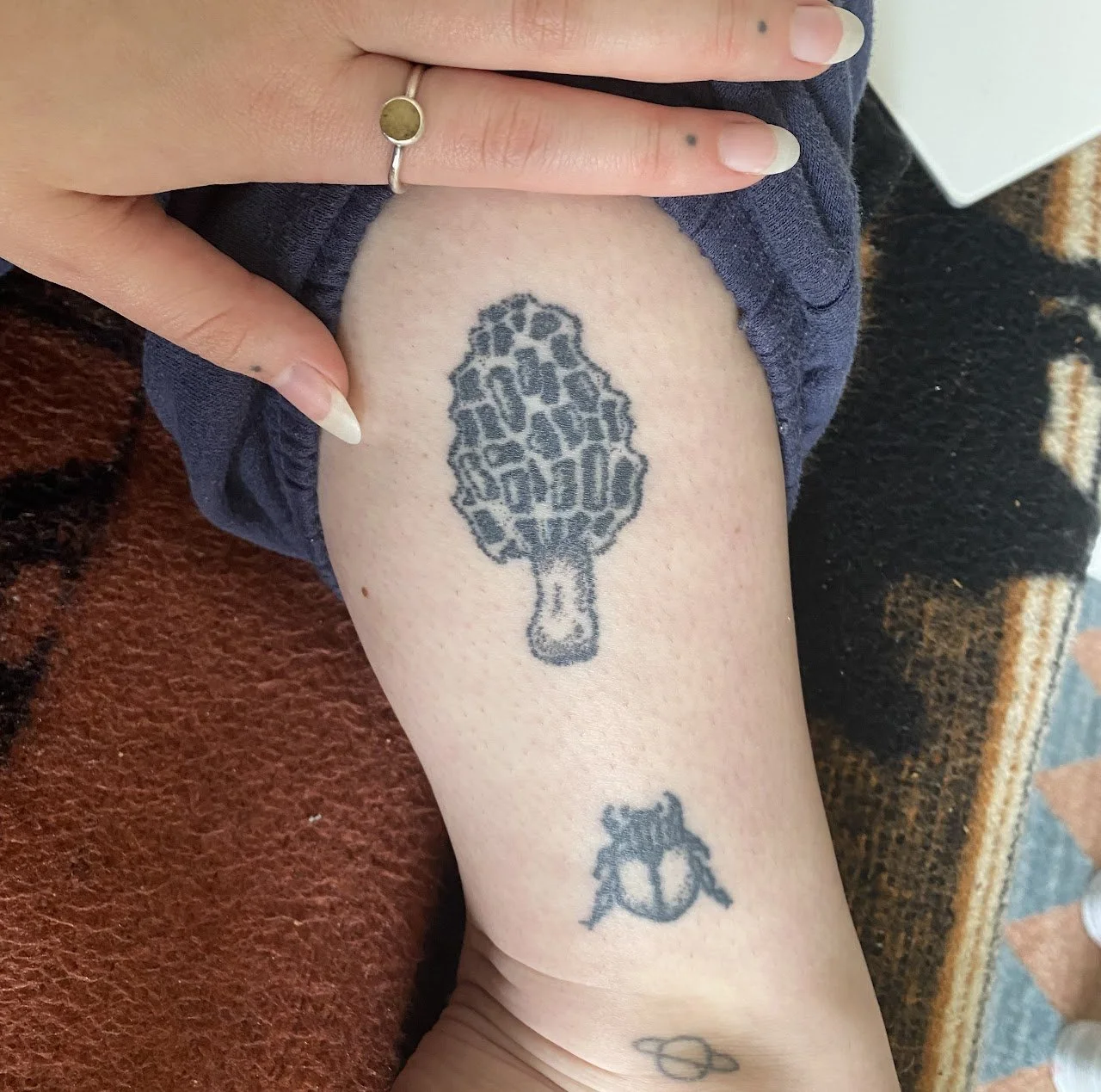 Beetle (2020), Morel Mushroom (2021)