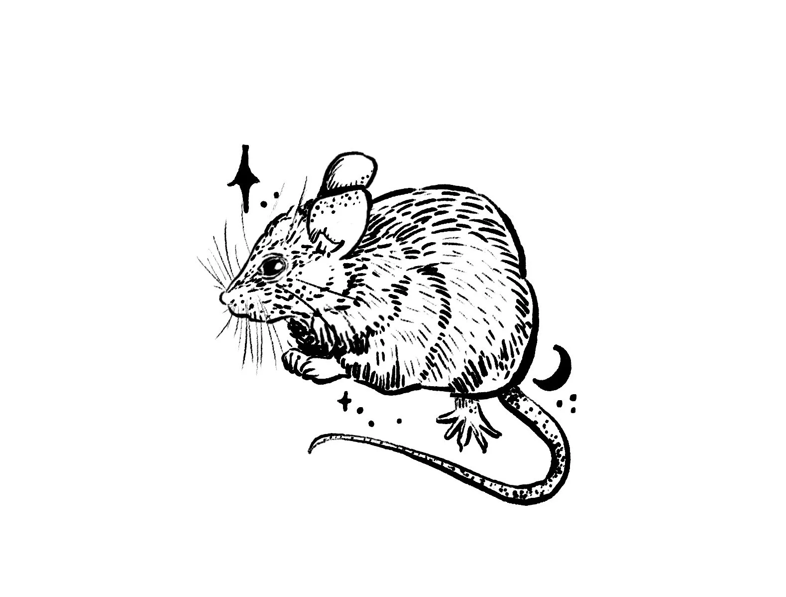 Untitled-Artwork 4.jpg