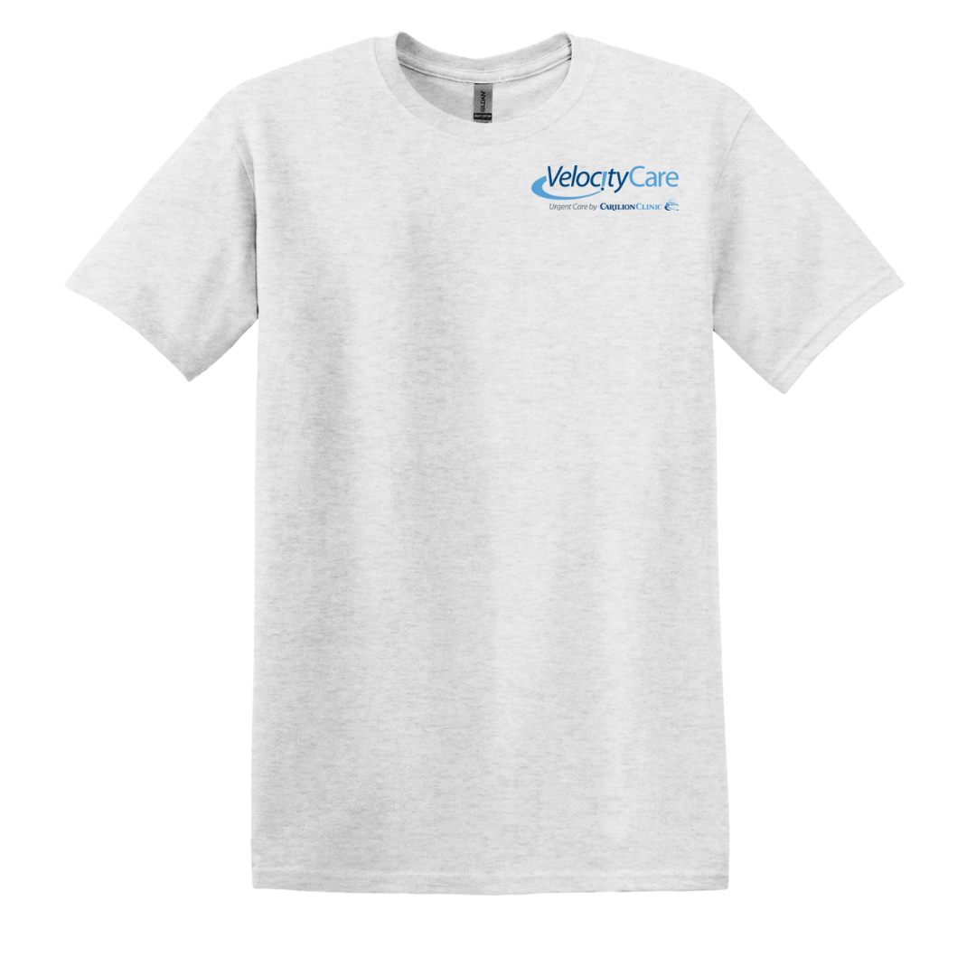 Velocity Gildan ash ss.png