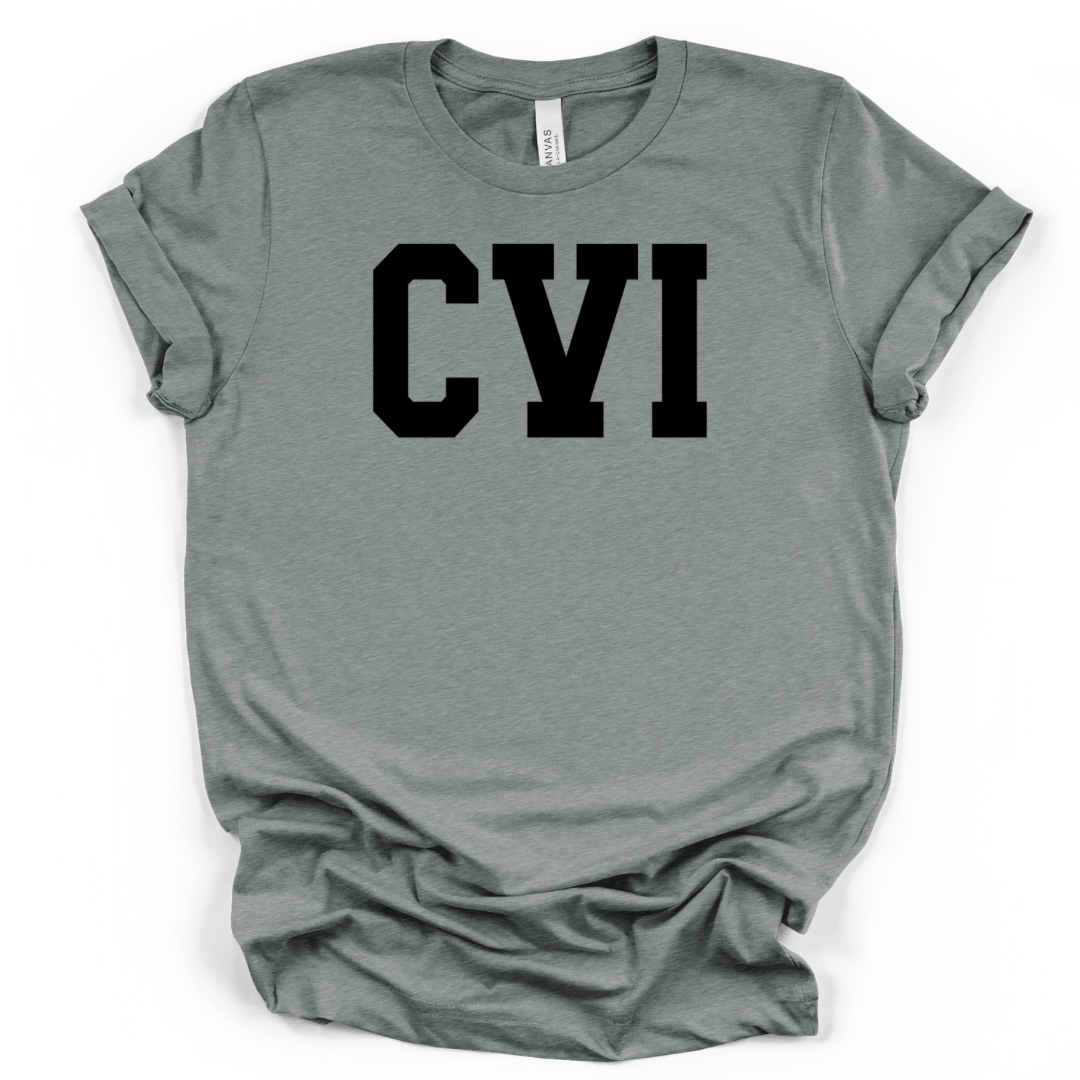 Heather blue storm .PNG