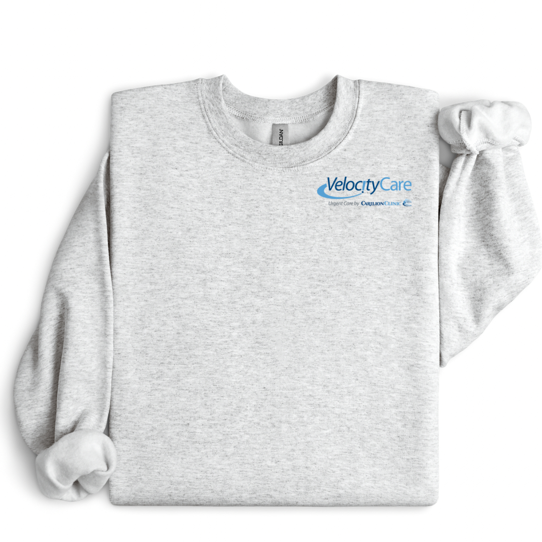 Velocity gildan ash.png