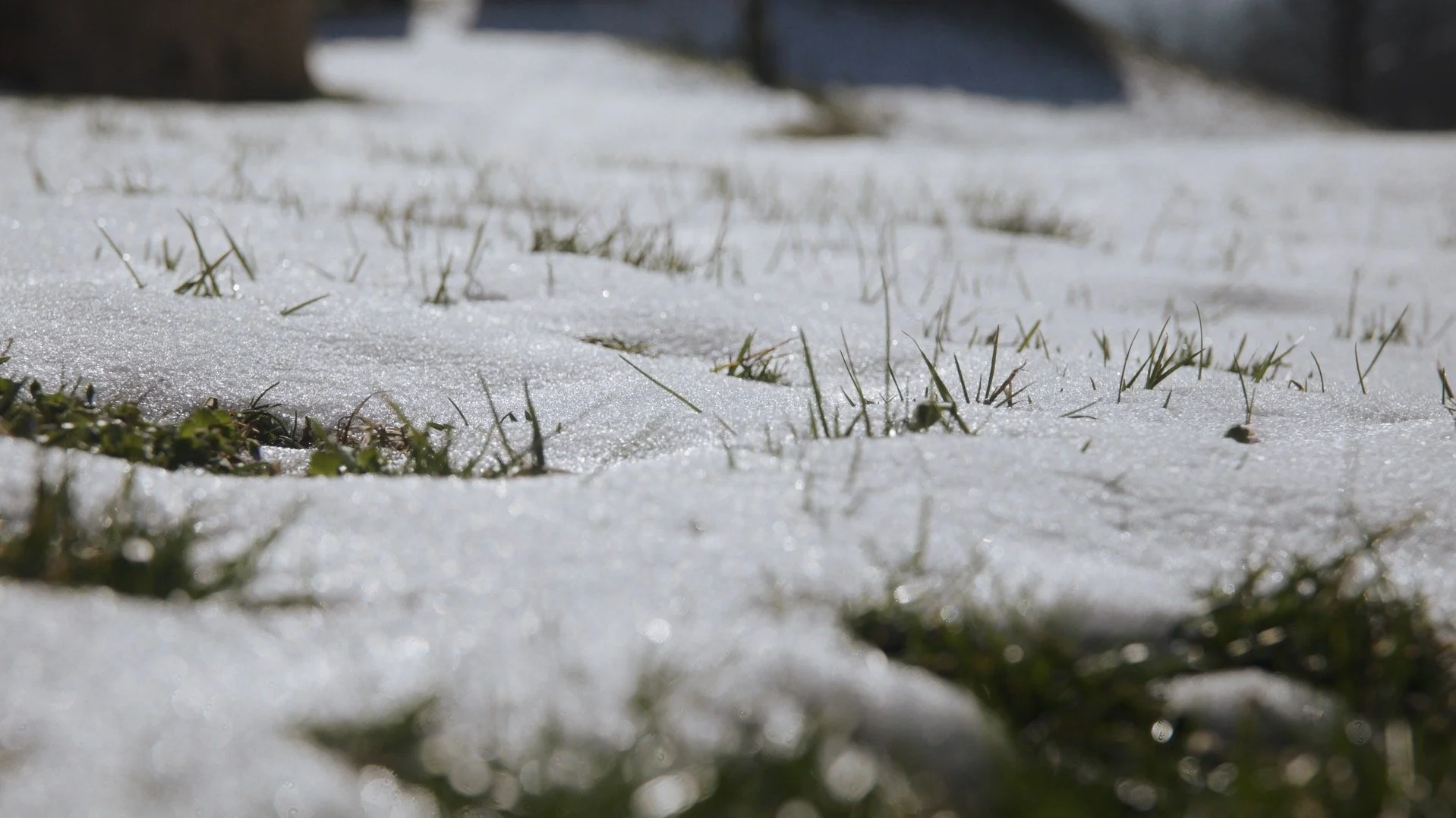 Screenshot 2025-02-22 at 11.19.57 PM.jpg