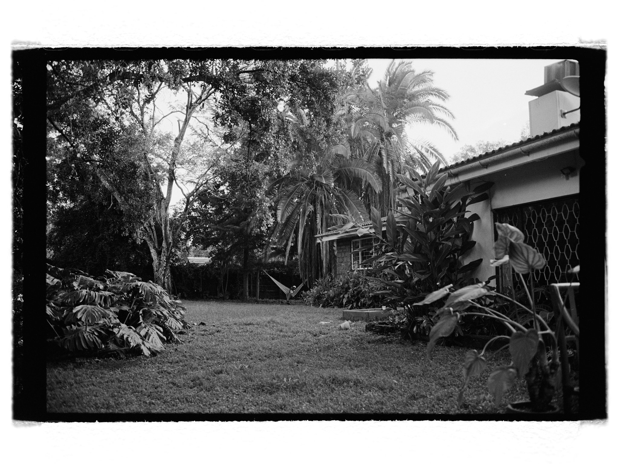 GFX 0044 1.jpg