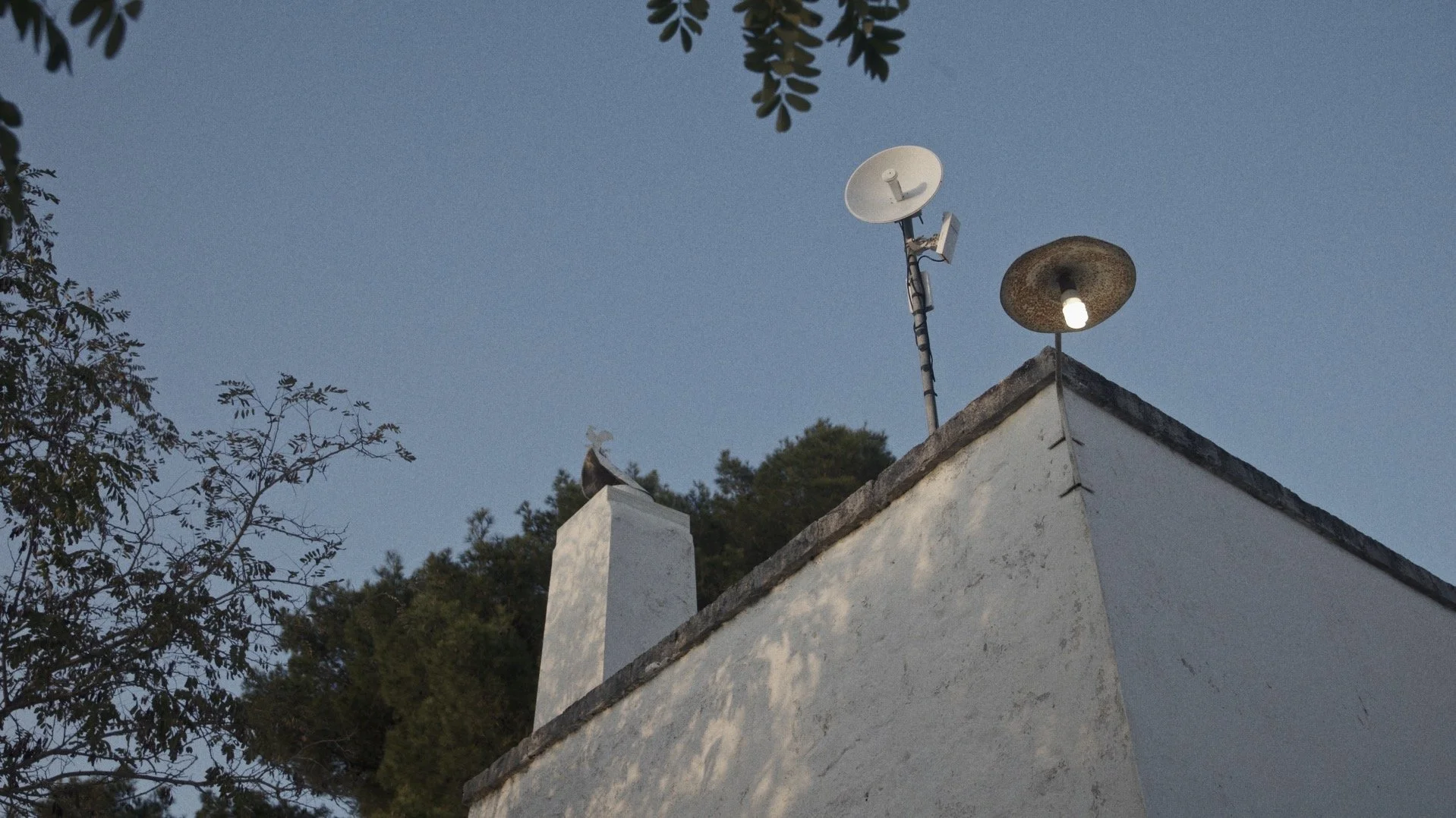 Screenshot 2025-01-01 at 8.19.41 PM.jpg