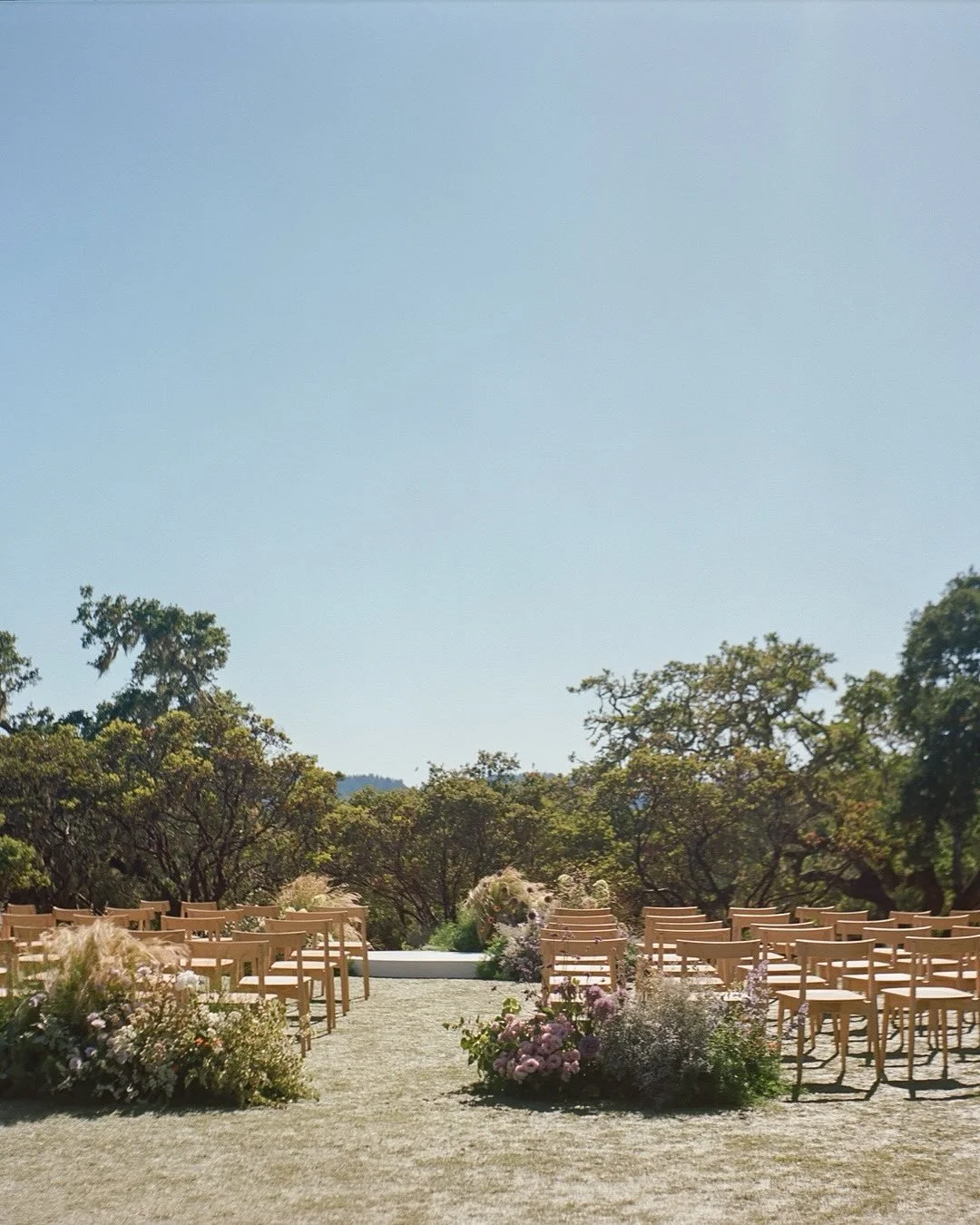 C + A's ceremony on the perfect summer day in Sonoma wine country.