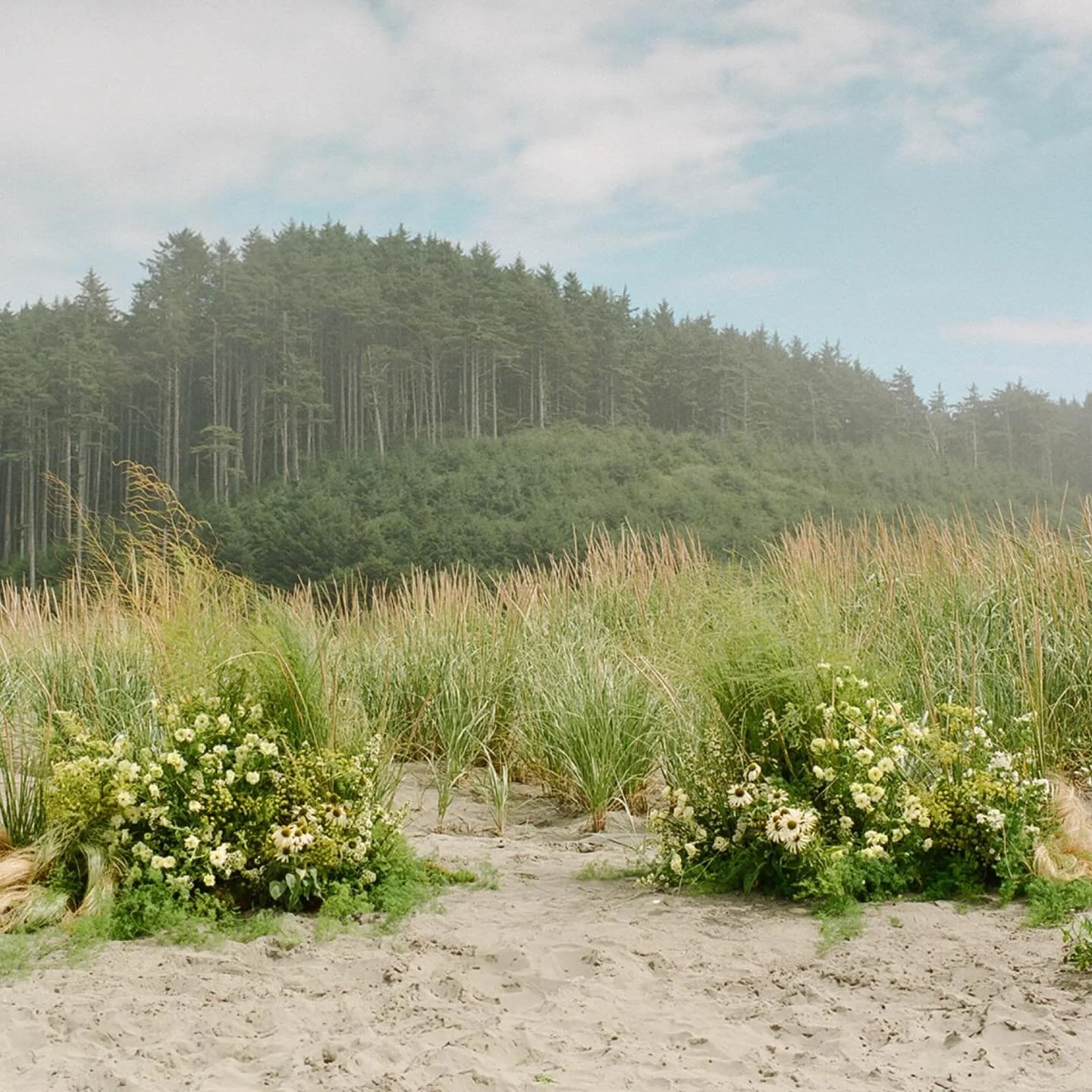 Whimsical yellows, raw coastal textures, and a heartfelt celebration for J + N along the Washington Coast.
.
.
.
Planning &amp; Design | @amriandco
Photography | @amandapoolphoto
Videographer | @karliannefilms
Florals | @irisandfig
Linens | @bbjlatav