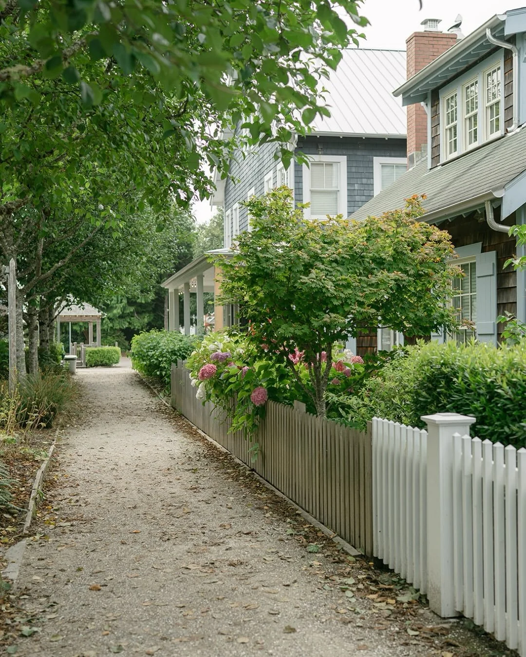 A splash of color by the sea.