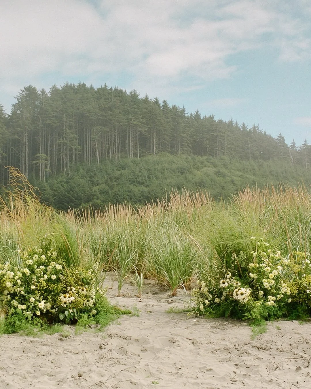 Soft yellows, natural movement, and understated romance for J + N&rsquo;s ceremony tucked gently into the coastal dunes. 
.
.
.
Planning &amp; Design | @amriandco
Photography | @amandapoolphoto
Videographer | @karliannefilms
Florals | @irisandfig
Ren