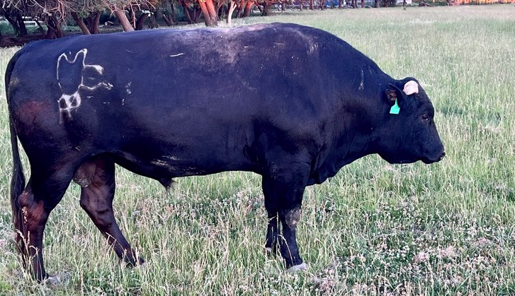 Screen Shot 2026-04-09 at 2.53.10 PM.png