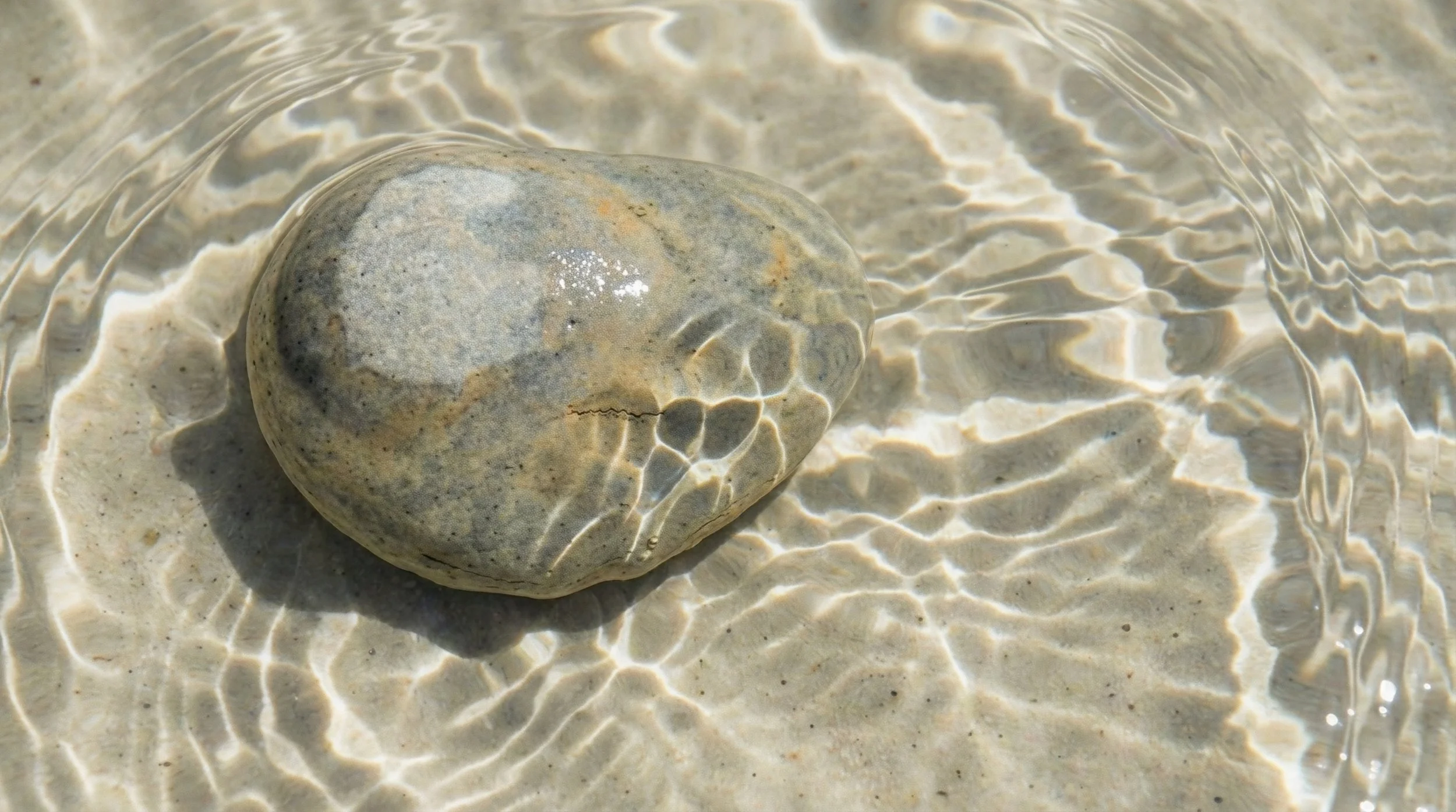 A smooth, rounded stone resting on wet sand with ripples and reflections of light on the surface.