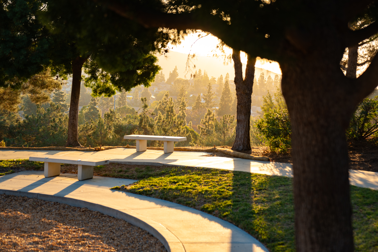 DSC00521CONVERTED Large.png