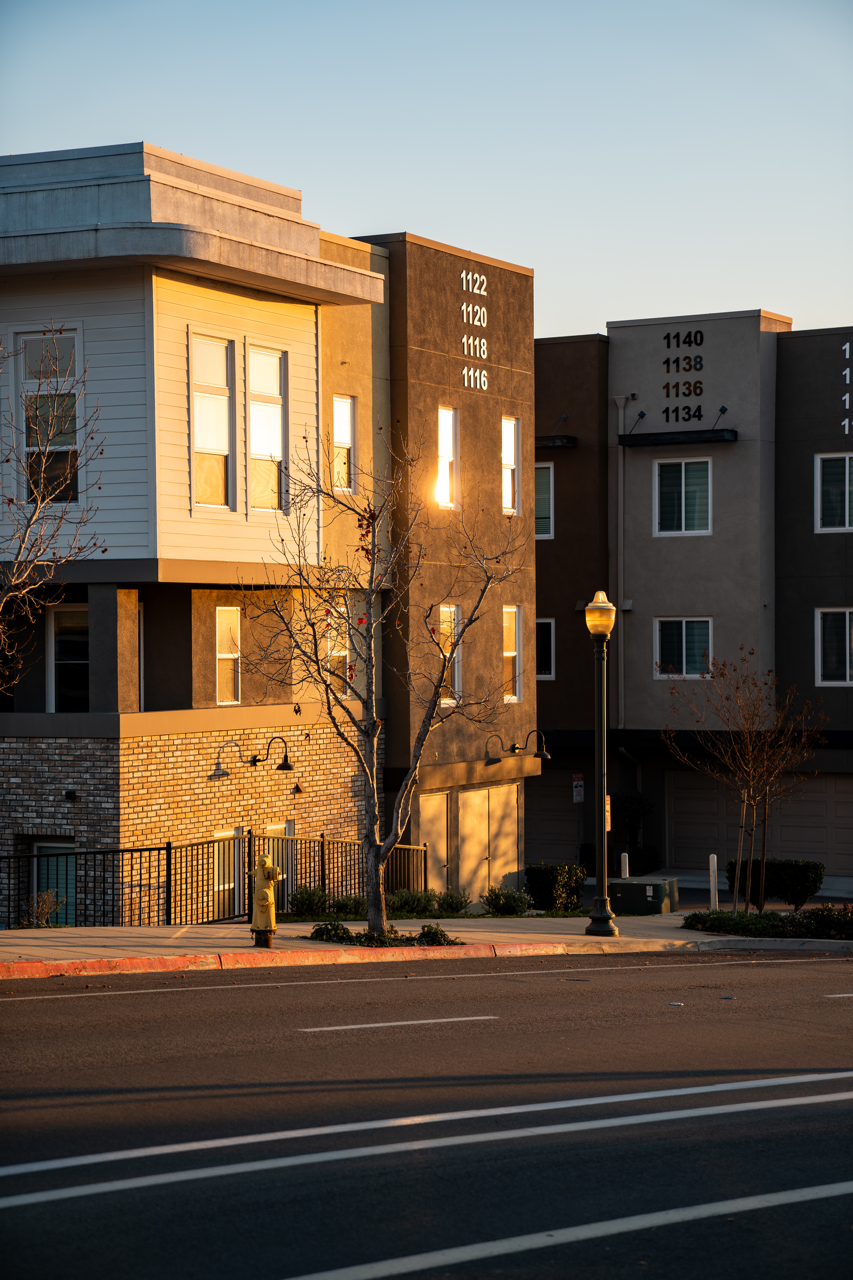 DSC00529CONVERTED Large.png