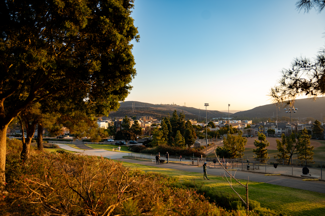 DSC00525CONVERTED Large.png