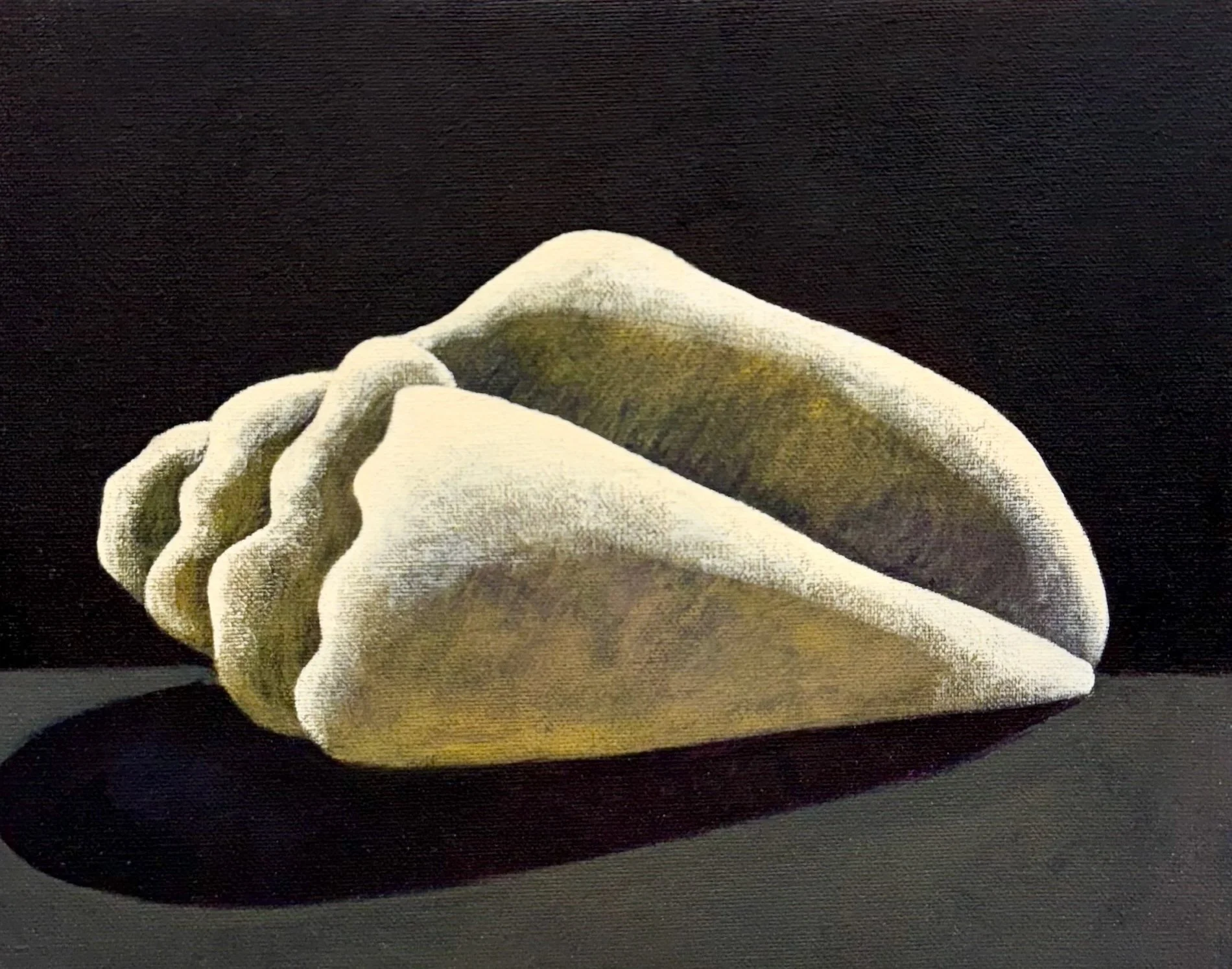 Seashell Study, Oil on canvas, 8 x 5 inches, 2025