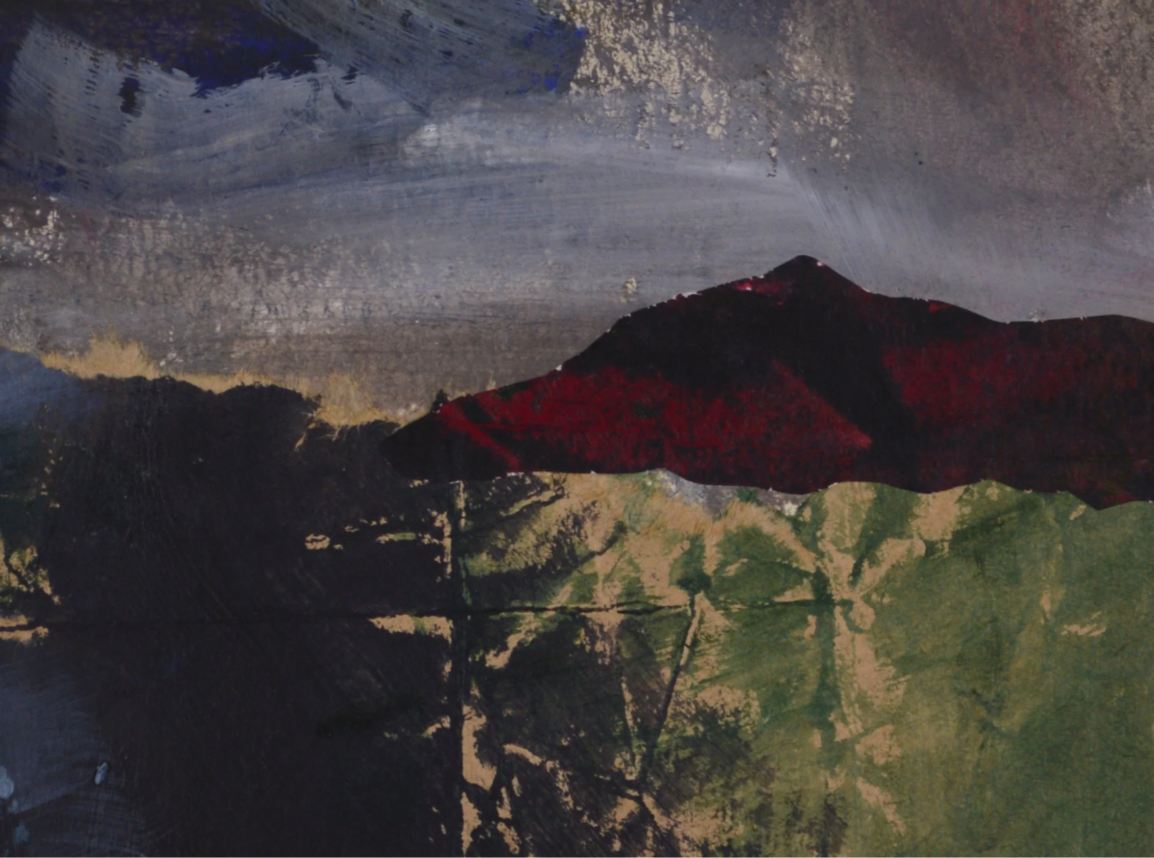 Mountain and roots.JPG