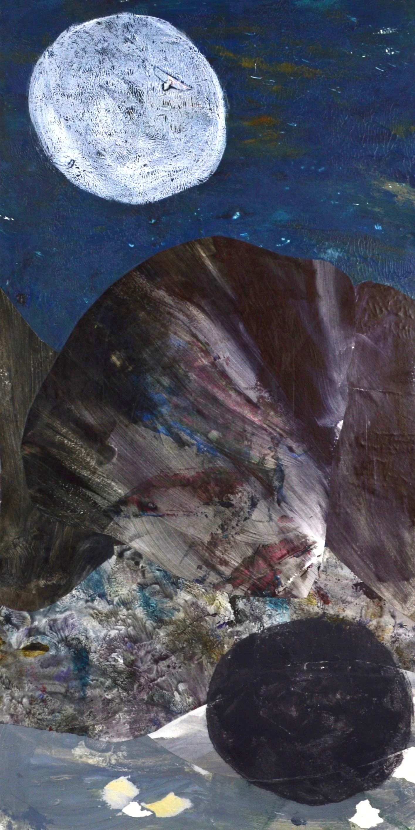 Moon cover image.JPG