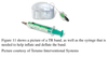 Right Heart Catheterization vs. Left Heart Catheterization vs. Coronary ...