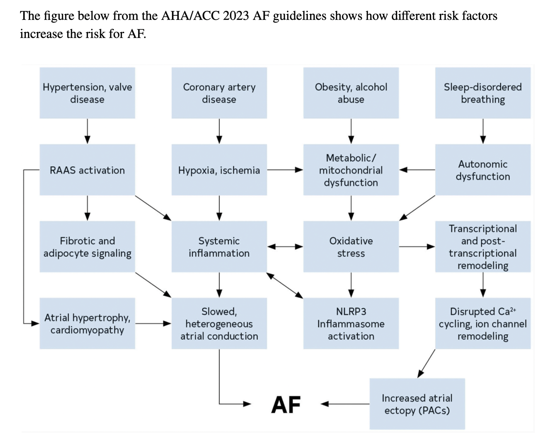 Atrial Fibrillation (AF) — When the Beat Drops: A Resident's Guide to ...