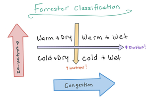 Forester Classifications Cardiogenic Shock — When the Beat Drops: A Resident's Guide to the CCU