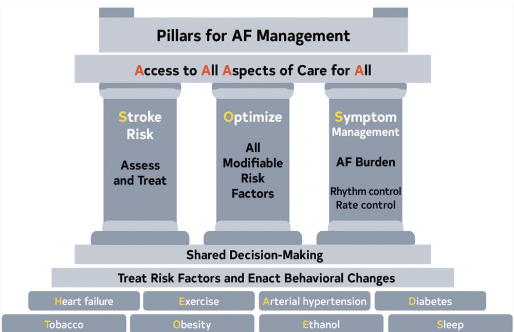 Atrial Fibrillation (AF) — When the Beat Drops: A Resident's Guide to ...