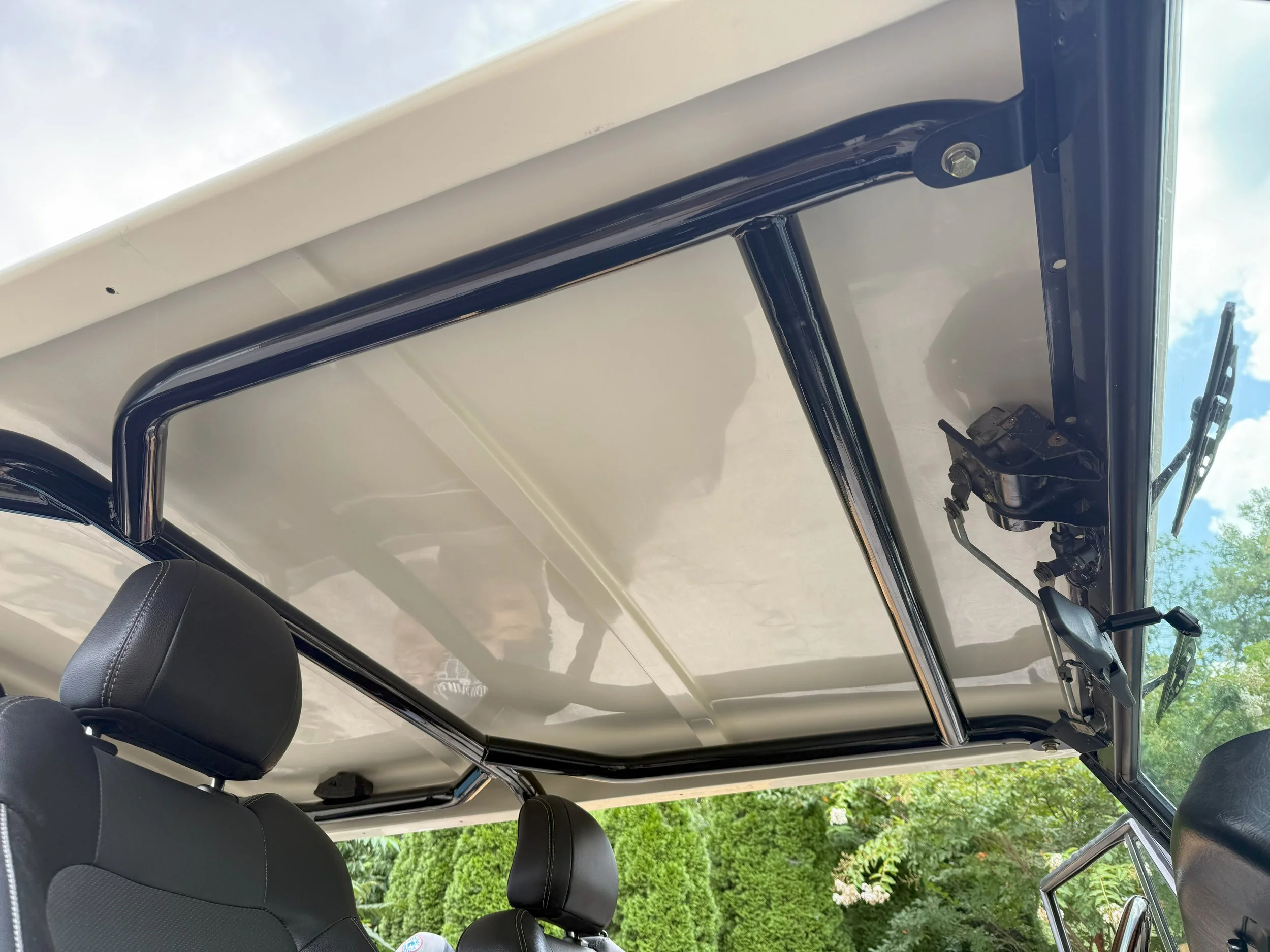 Mod Roof on black cage.jpg