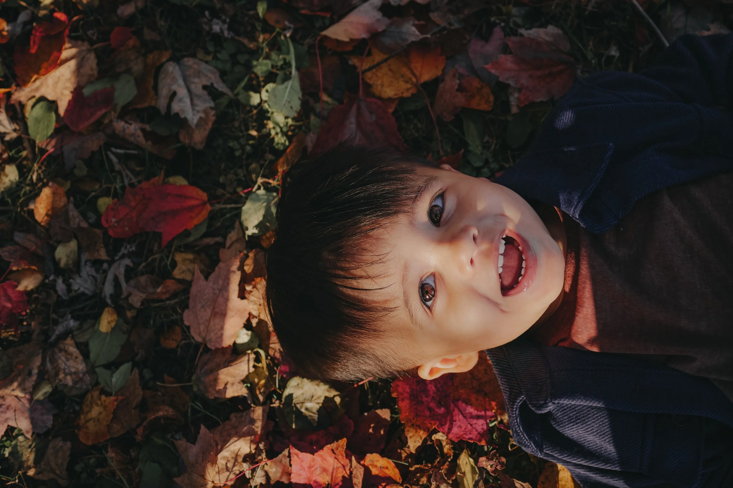 A young boy with dark hair lying on a bed of colorful autumn leaves, smiling and looking up at the camera.