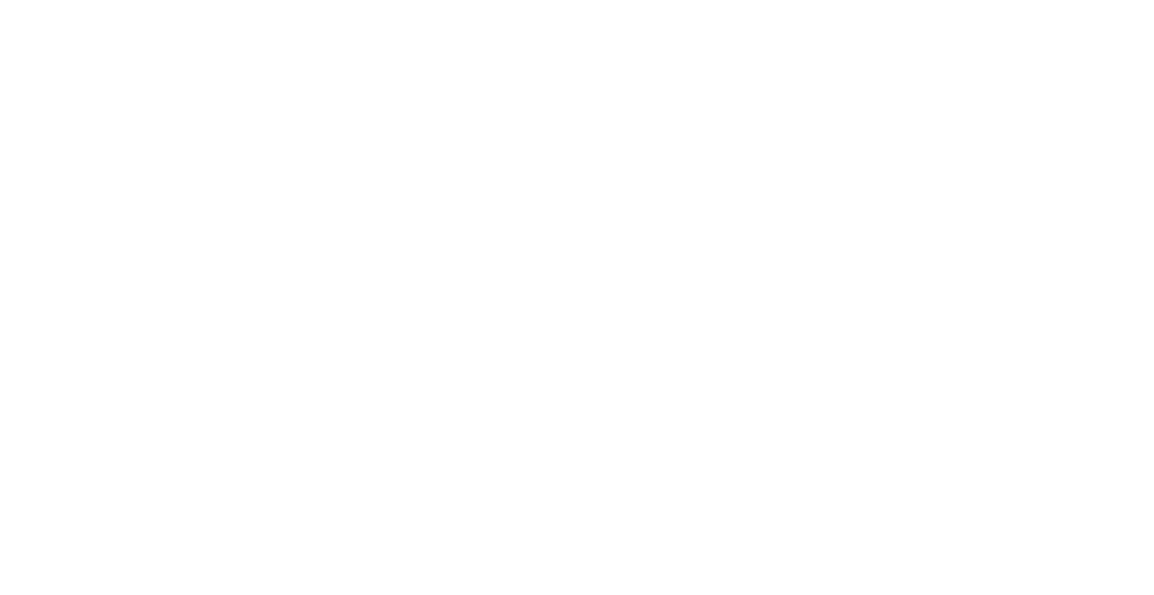 Bridge Partners