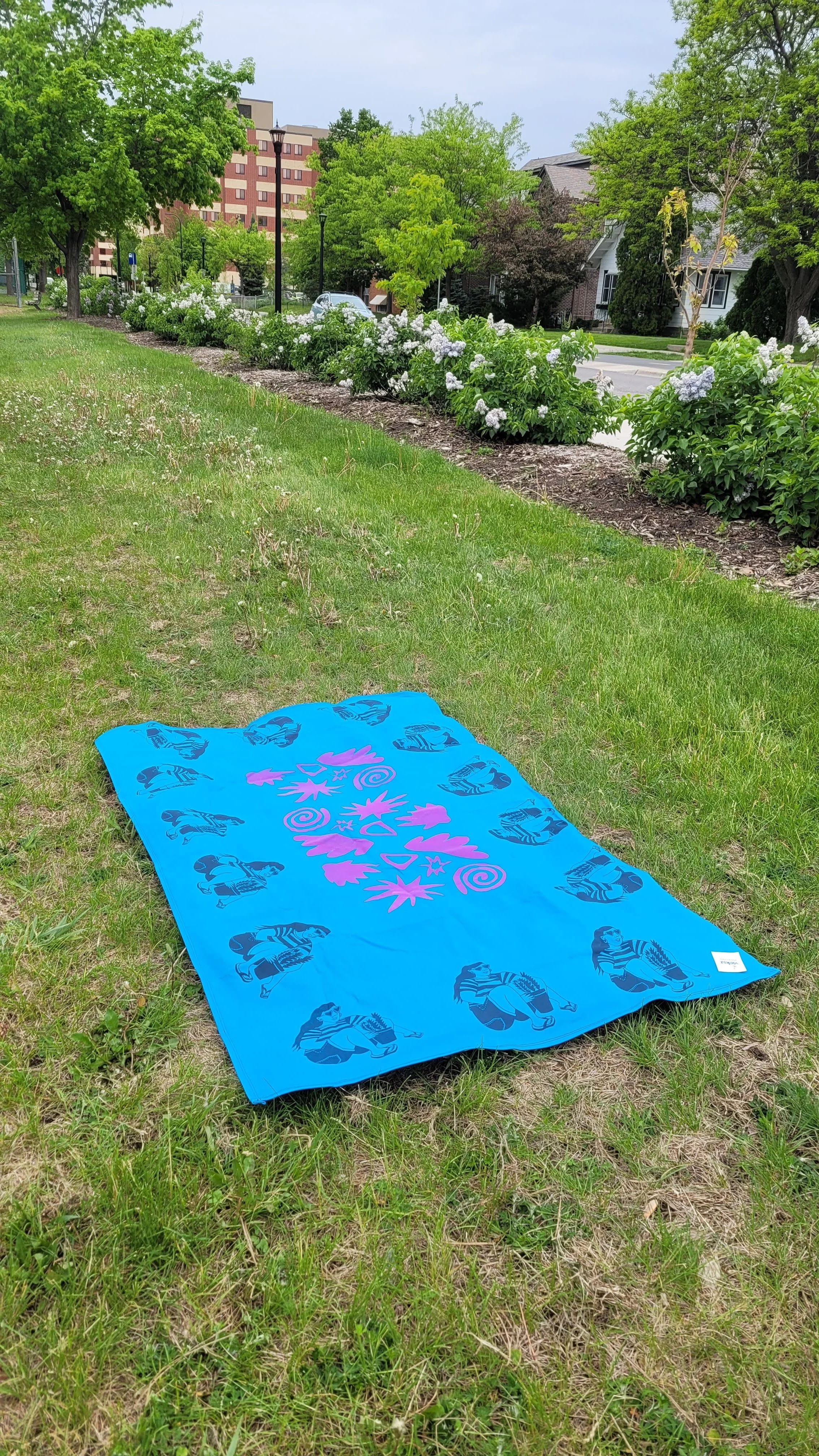 20260522_084940.jpg