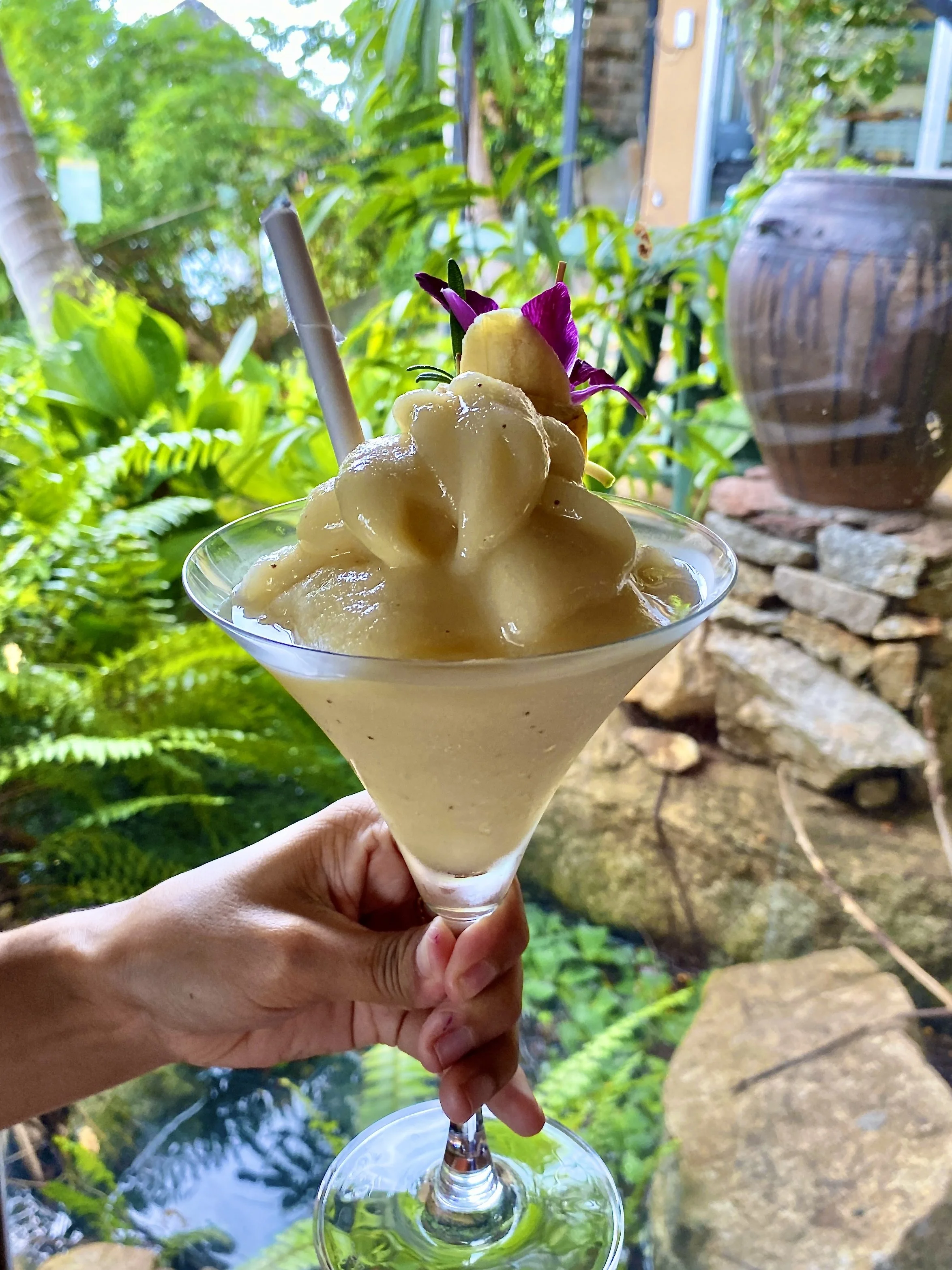 Hand holding a glass of mango sorbet topped with a purple flower and a piece of pineapple, with a garden and rocks in the background.