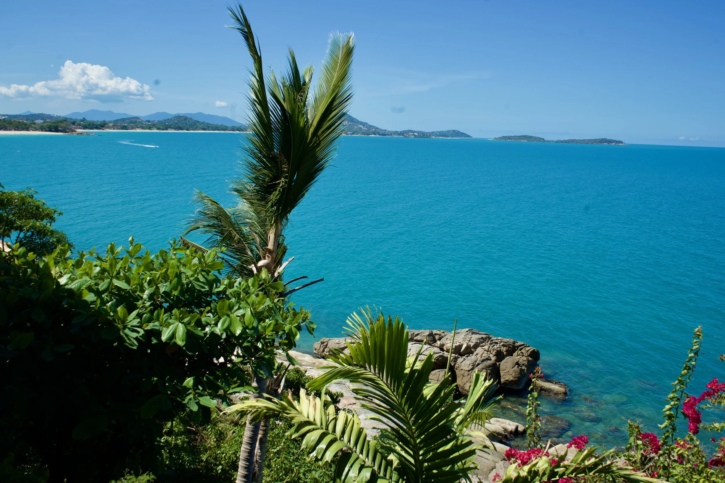Ocean front dining