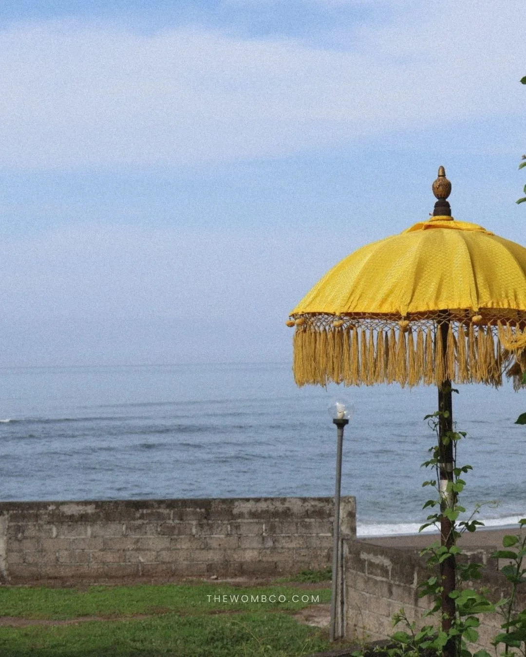 A little reminder to pause, to notice, to feel.
The most peaceful moments come when you stop chasing and start observing.

#mindfulliving #slowdown #presence #grounded #stillness #innerpeace #selfconnection #balienergy #sacredmoments #wellnessjourney