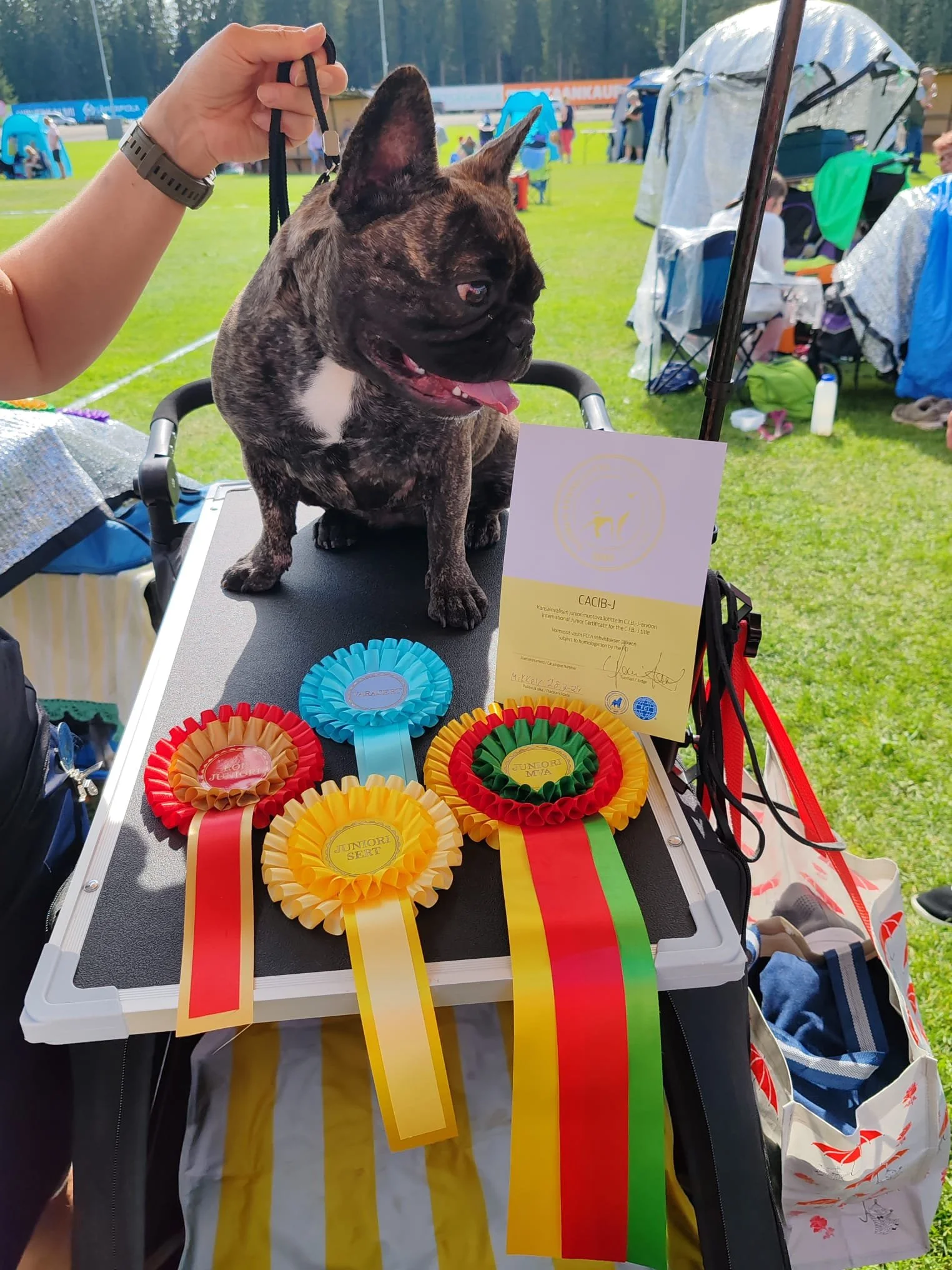 Lolan ruusukkeet.jpeg