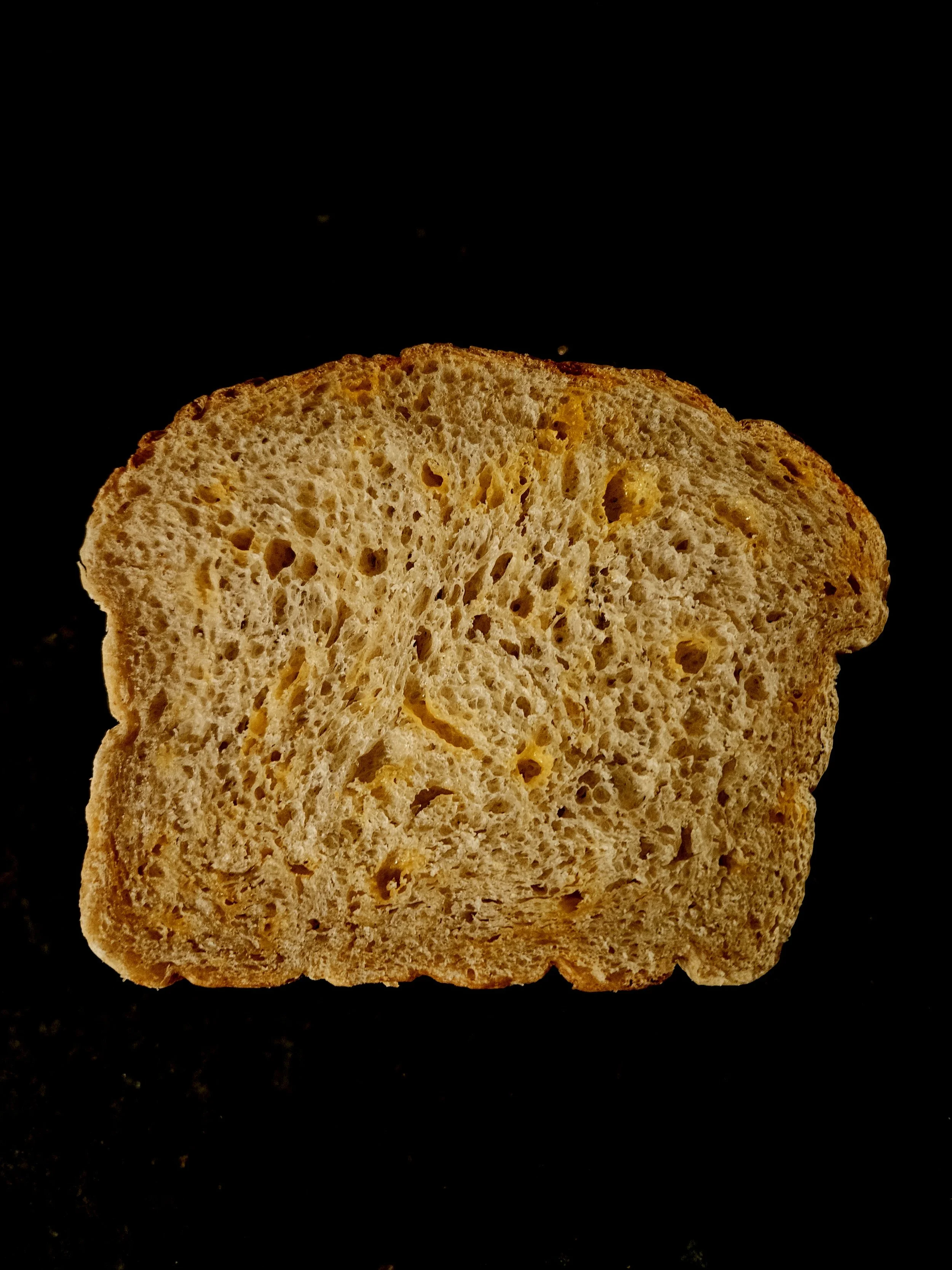 Cheddar Sourdough